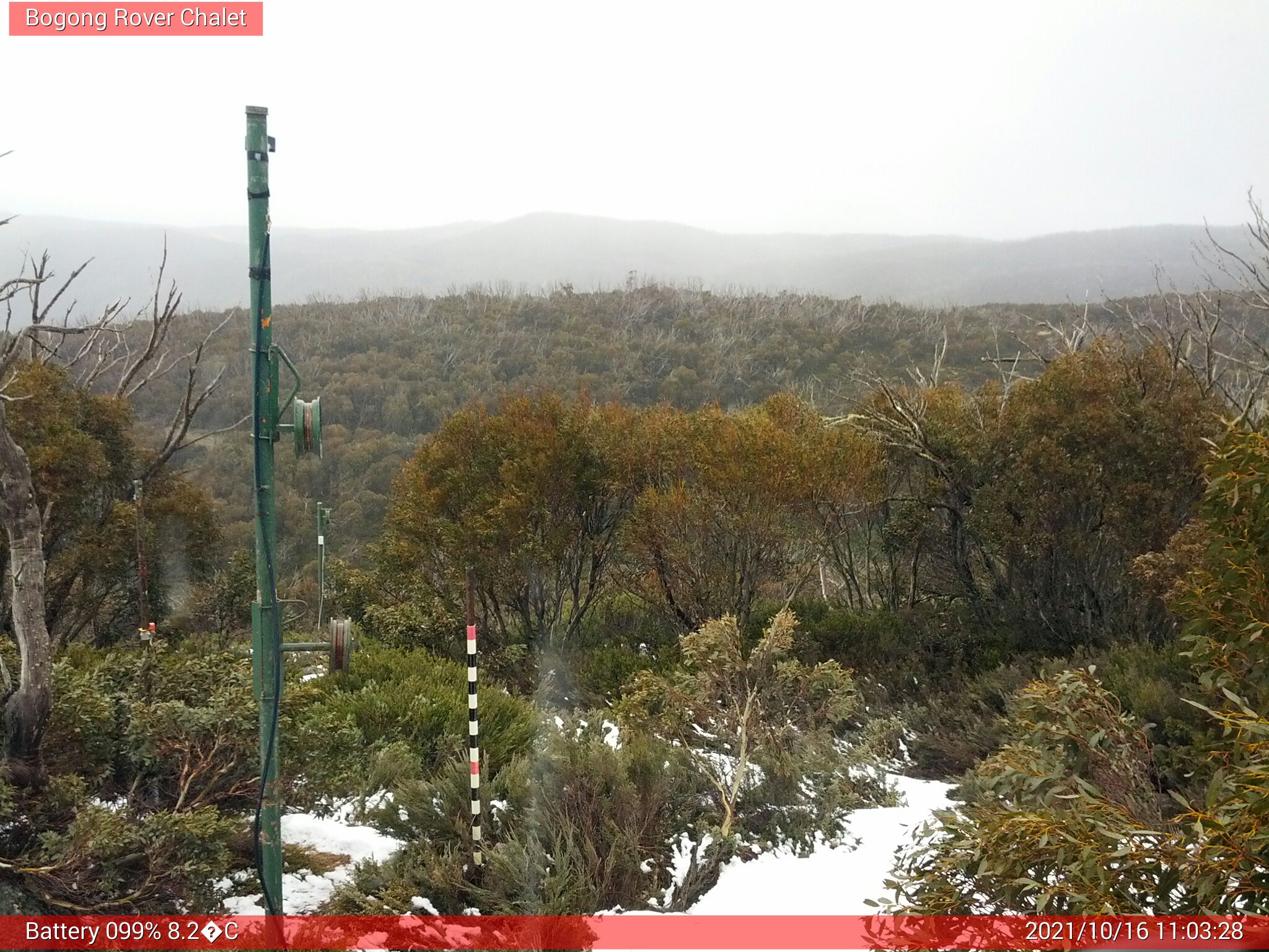 Bogong Web Cam 11:03am Saturday 16th of October 2021