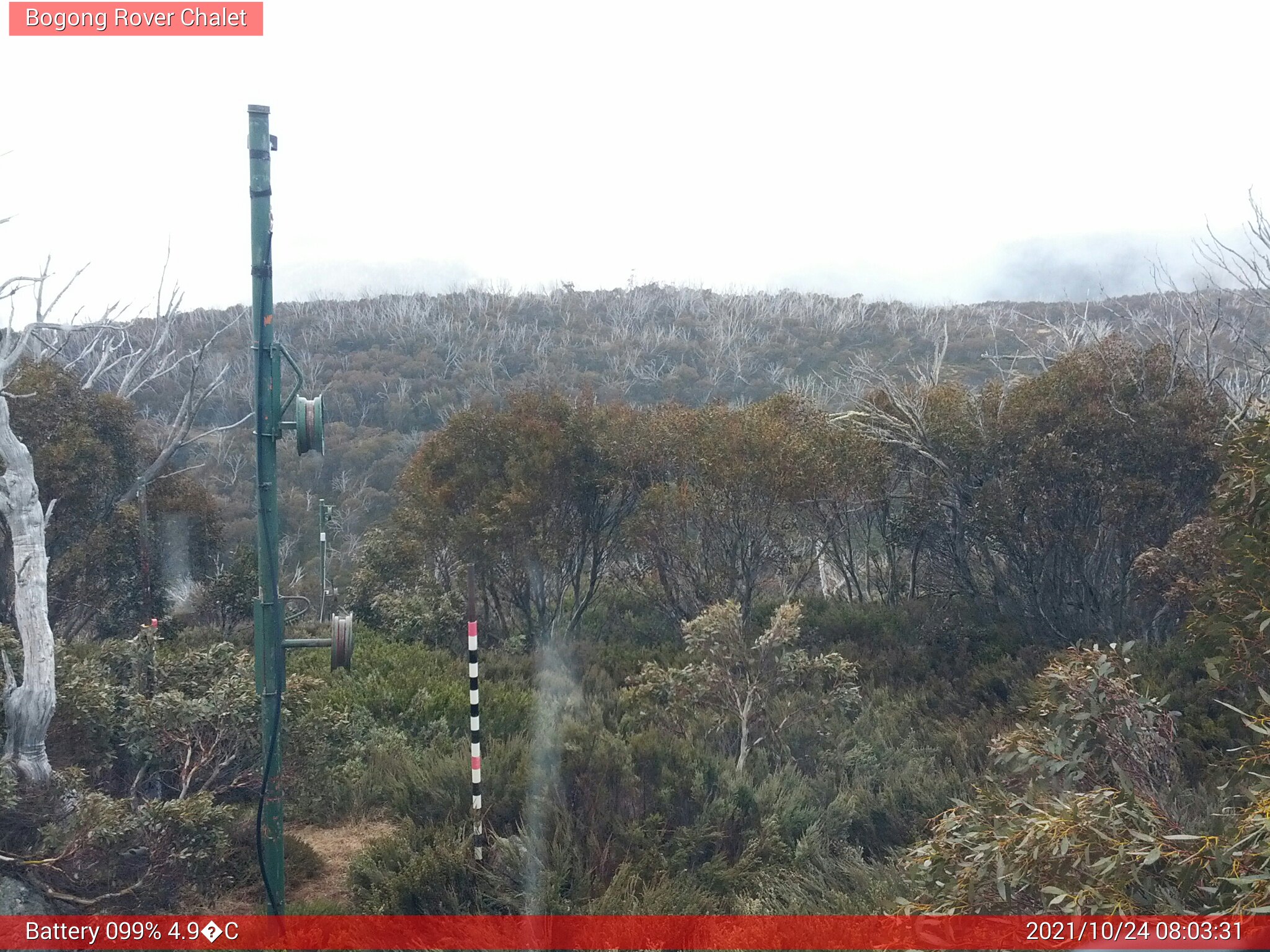 Bogong Web Cam 8:03am Sunday 24th of October 2021