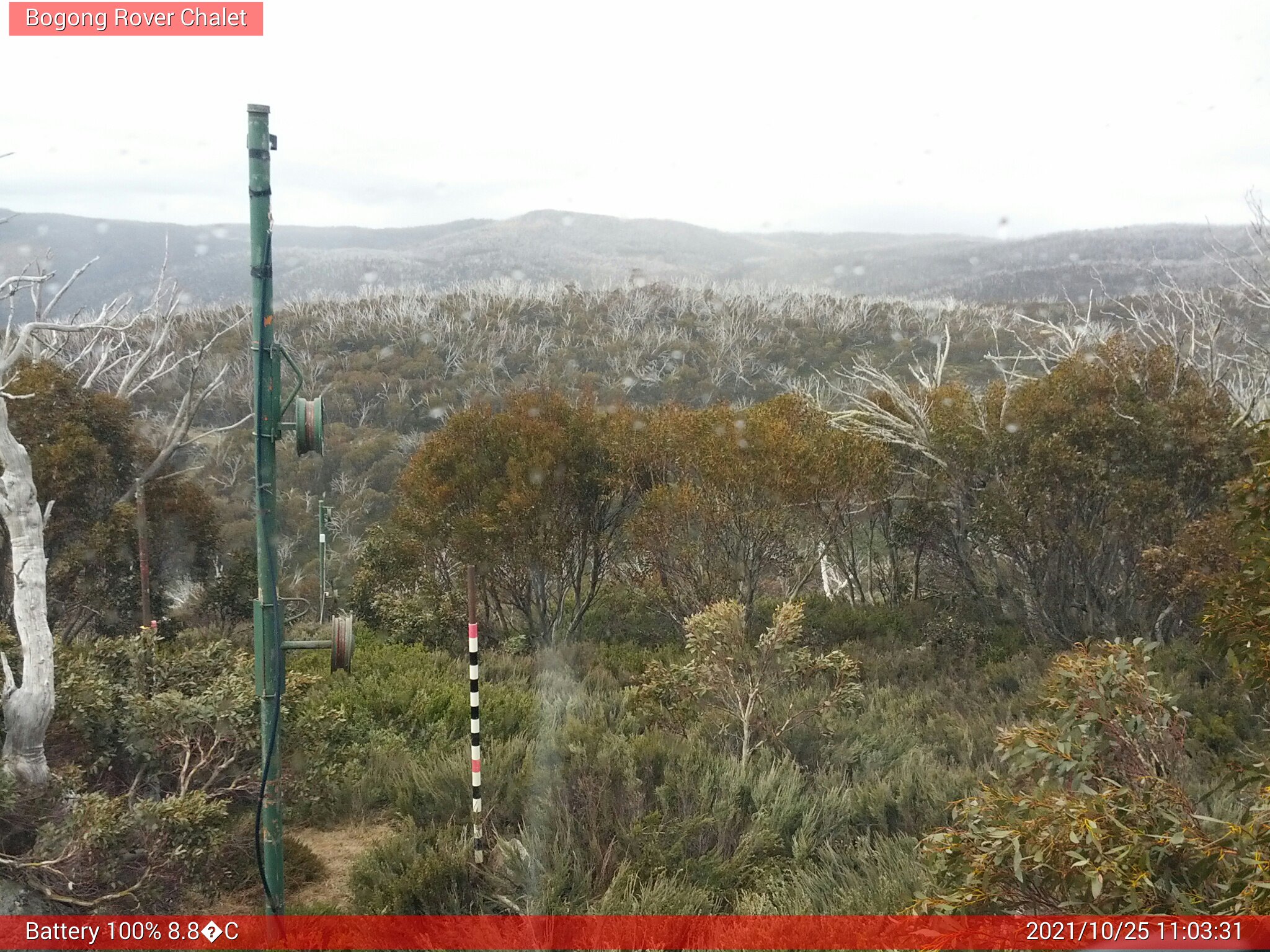 Bogong Web Cam 11:03am Monday 25th of October 2021