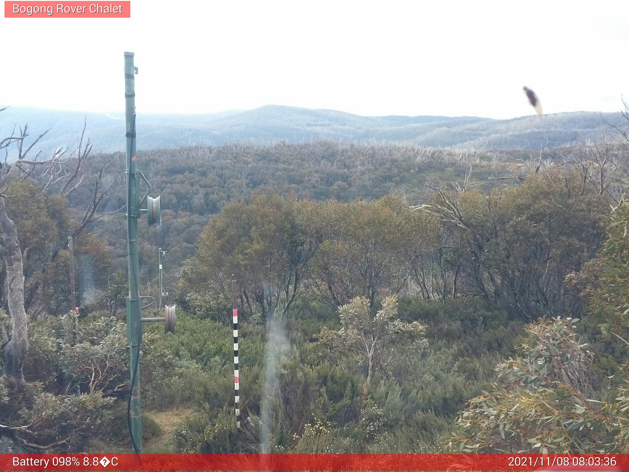 Bogong Web Cam 8:03am Monday 8th of November 2021