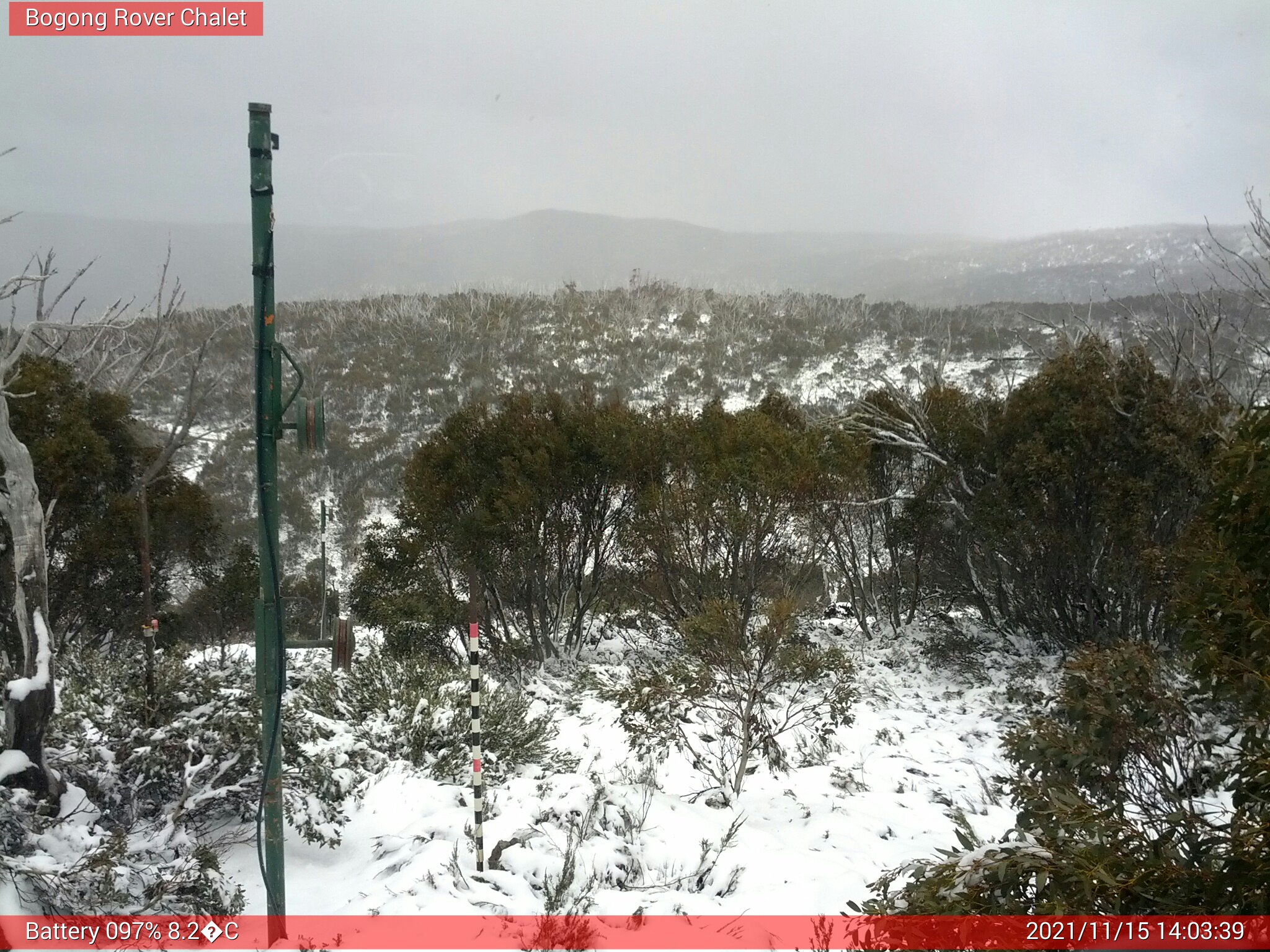 Bogong Web Cam 2:03pm Monday 15th of November 2021