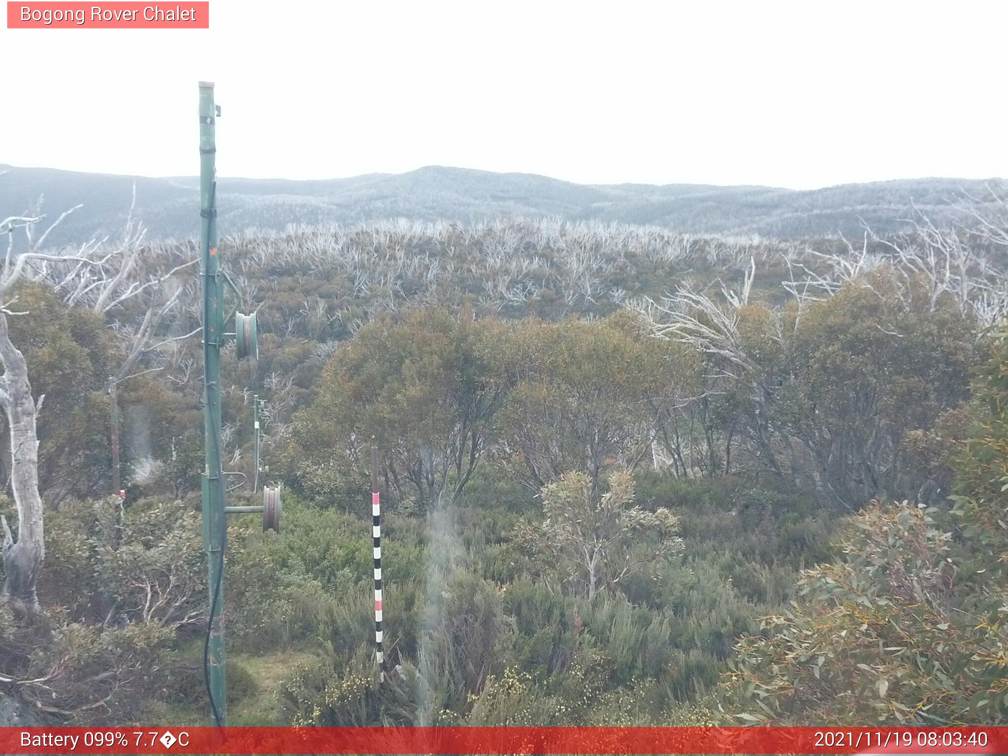 Bogong Web Cam 8:03am Friday 19th of November 2021