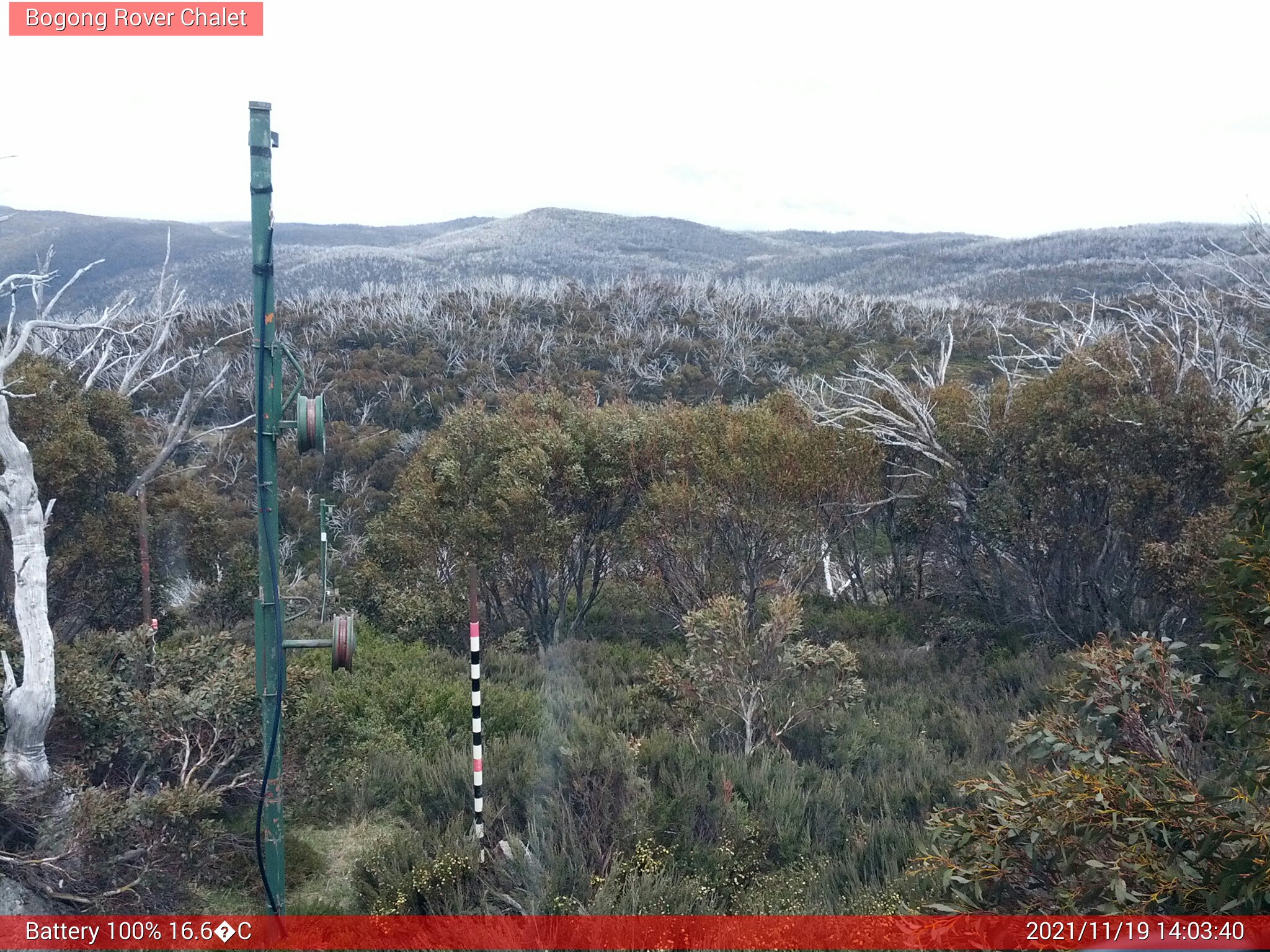 Bogong Web Cam 2:03pm Friday 19th of November 2021