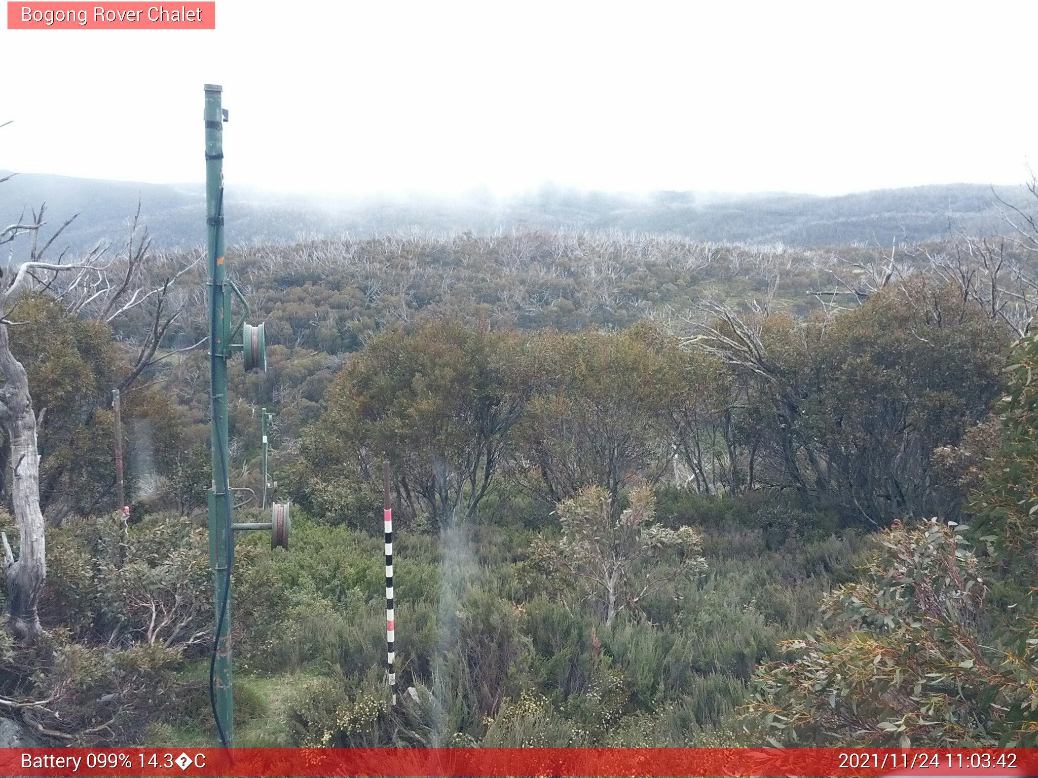 Bogong Web Cam 11:03am Wednesday 24th of November 2021