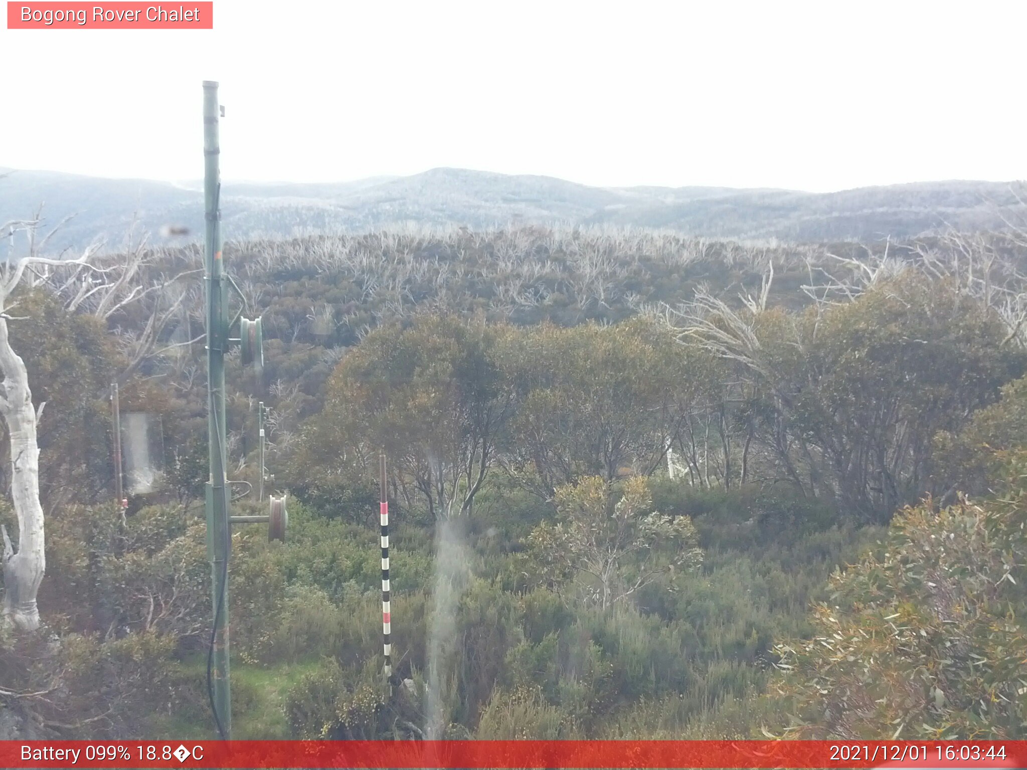 Bogong Web Cam 4:03pm Wednesday 1st of December 2021