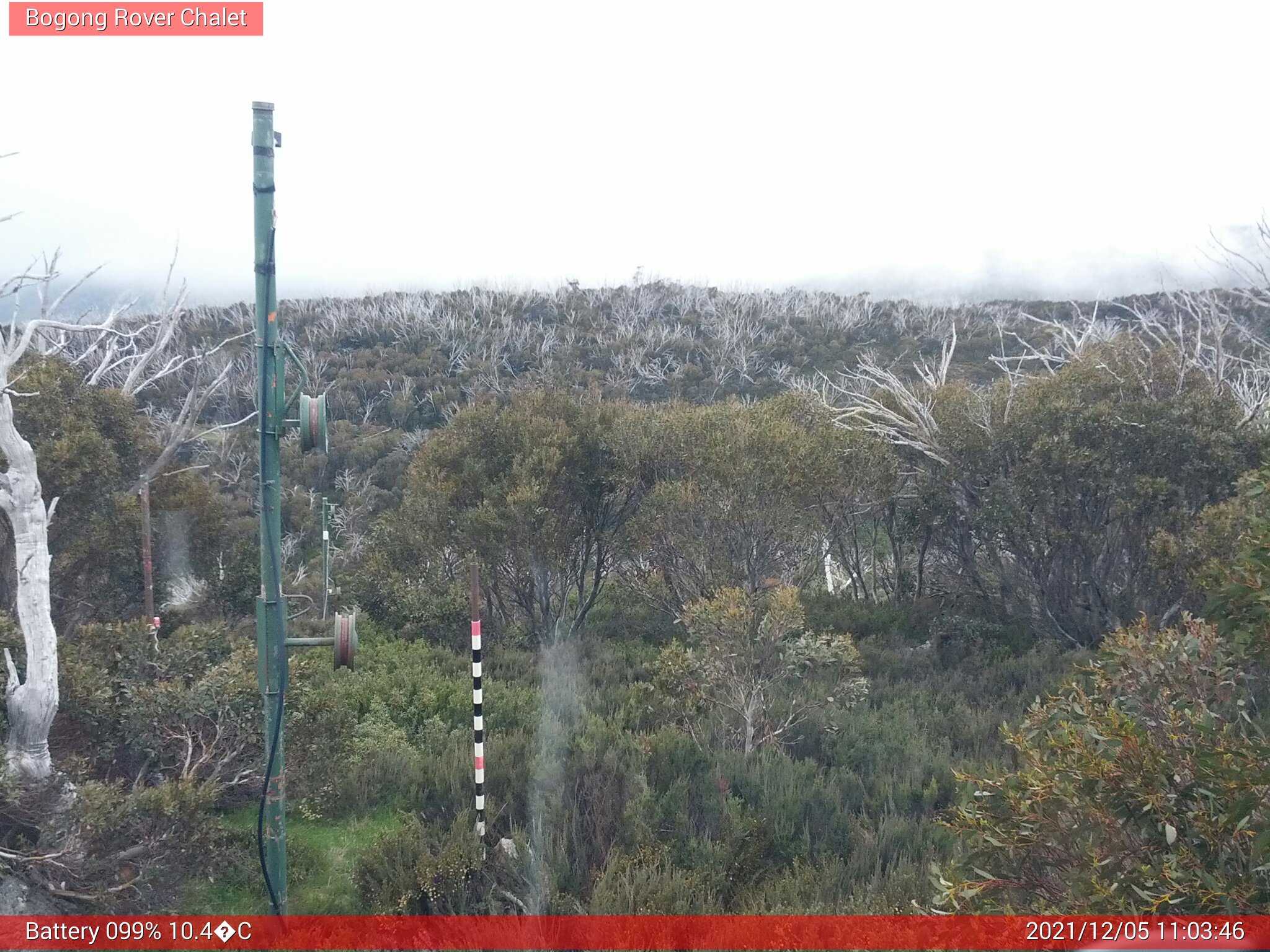 Bogong Web Cam 11:03am Sunday 5th of December 2021