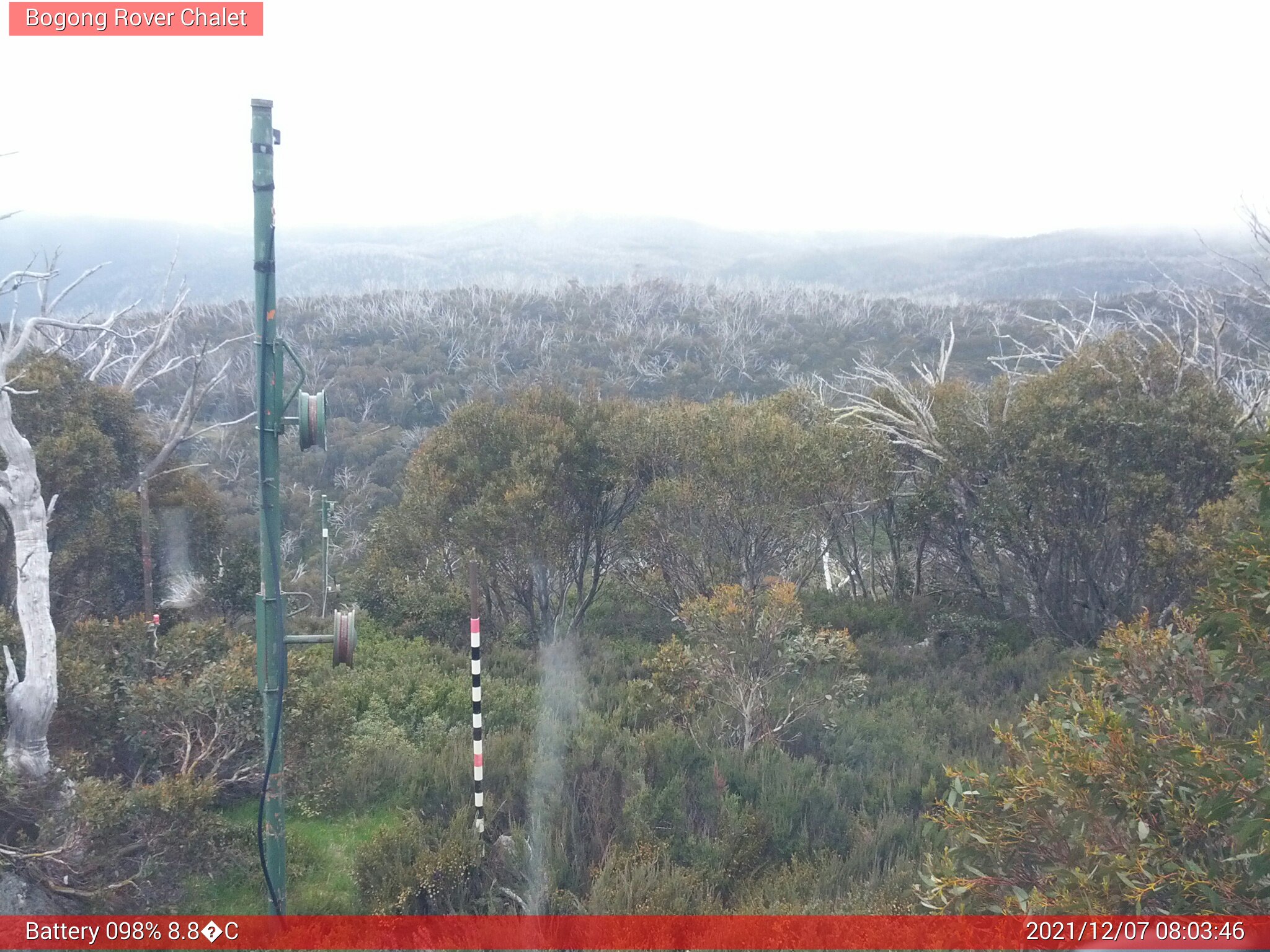 Bogong Web Cam 8:03am Tuesday 7th of December 2021