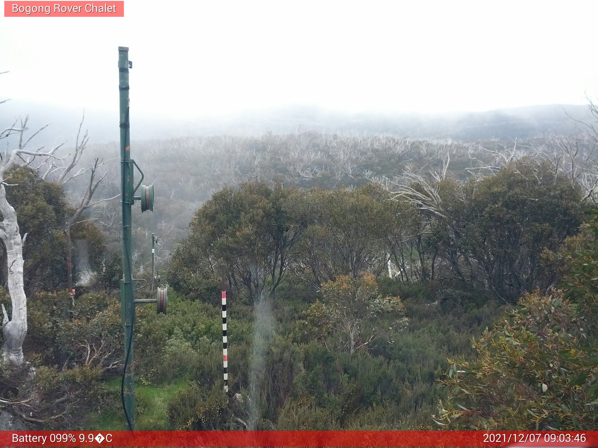 Bogong Web Cam 9:03am Tuesday 7th of December 2021