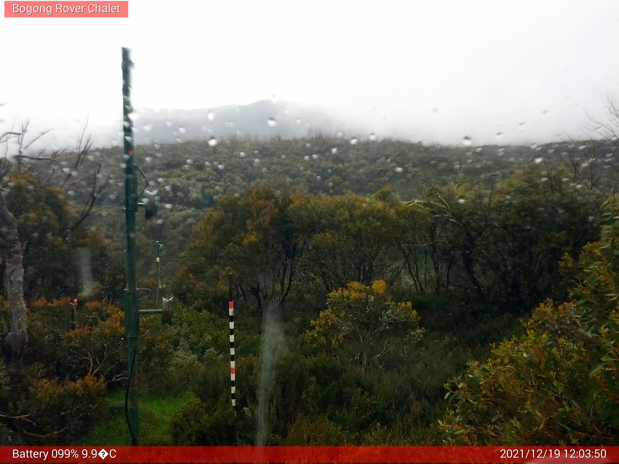 Bogong Web Cam 12:03pm Sunday 19th of December 2021