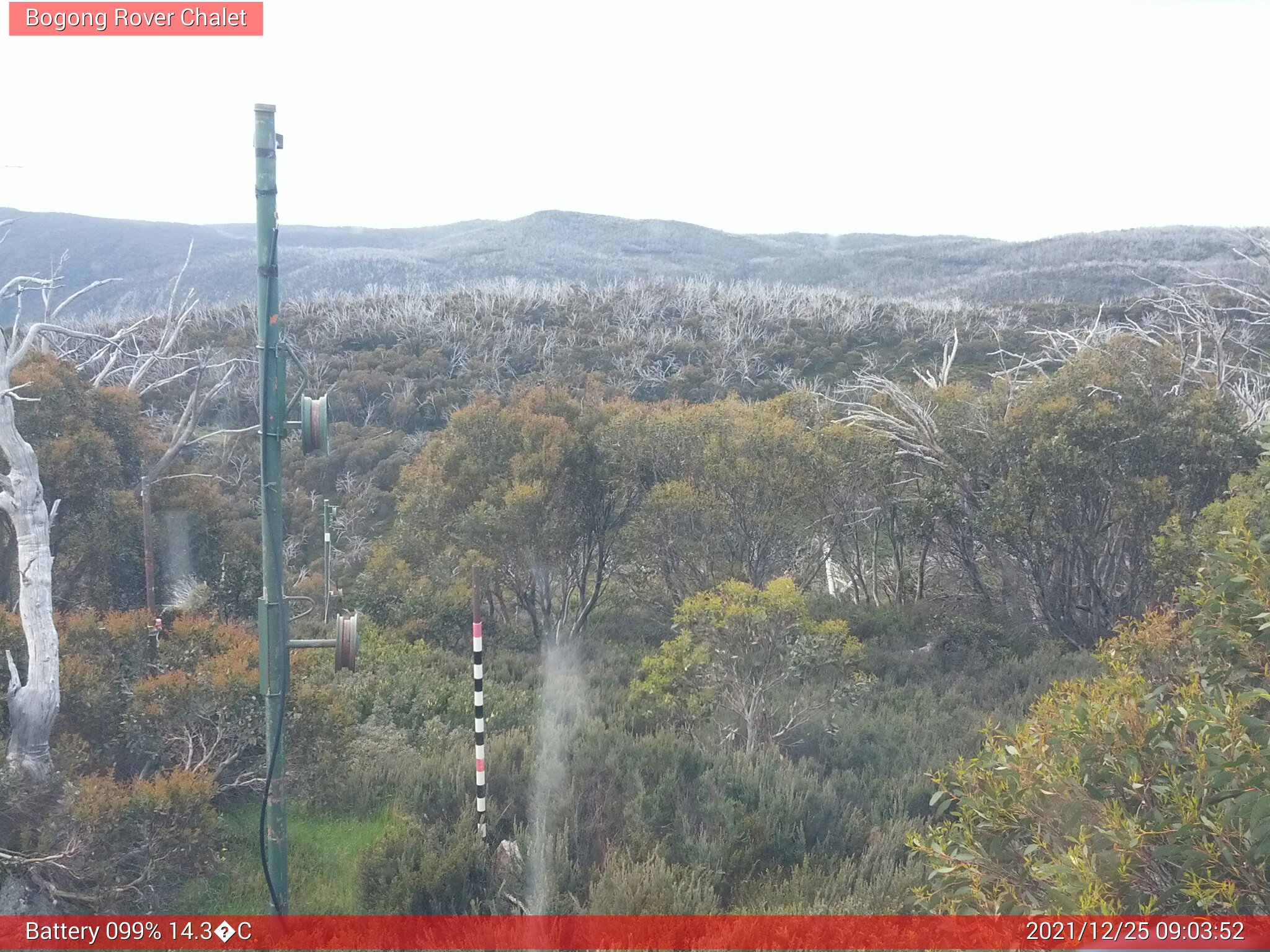 Bogong Web Cam 9:03am Saturday 25th of December 2021