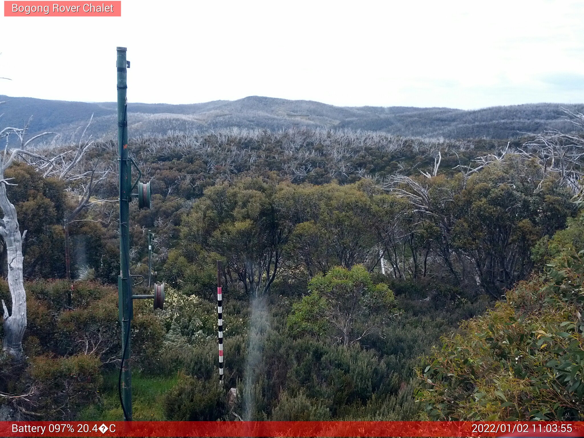 Bogong Web Cam 11:03am Sunday 2nd of January 2022