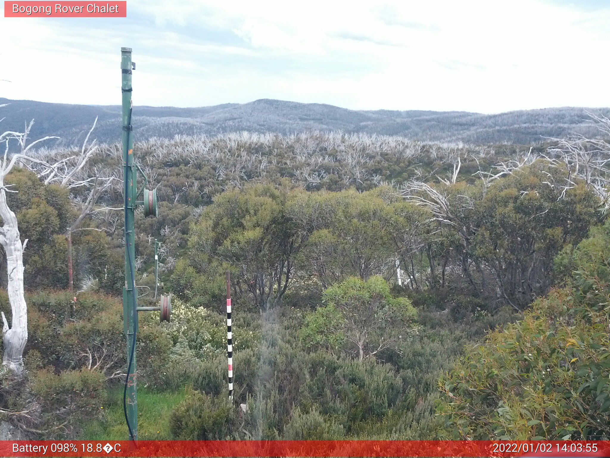 Bogong Web Cam 2:03pm Sunday 2nd of January 2022