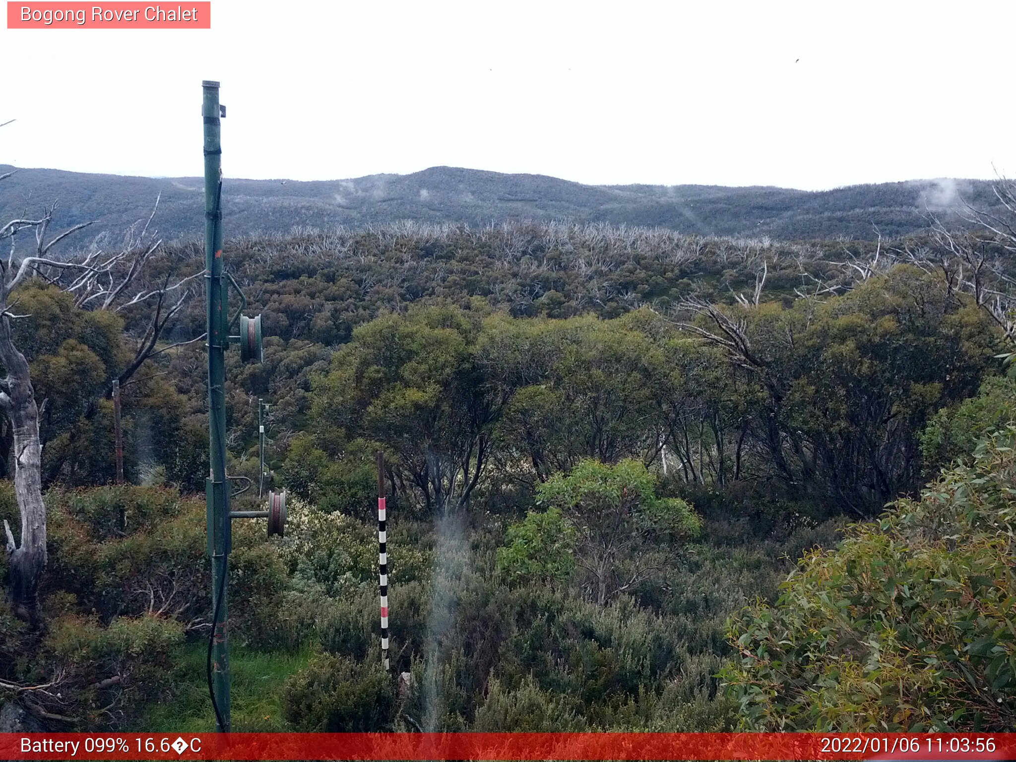 Bogong Web Cam 11:03am Thursday 6th of January 2022