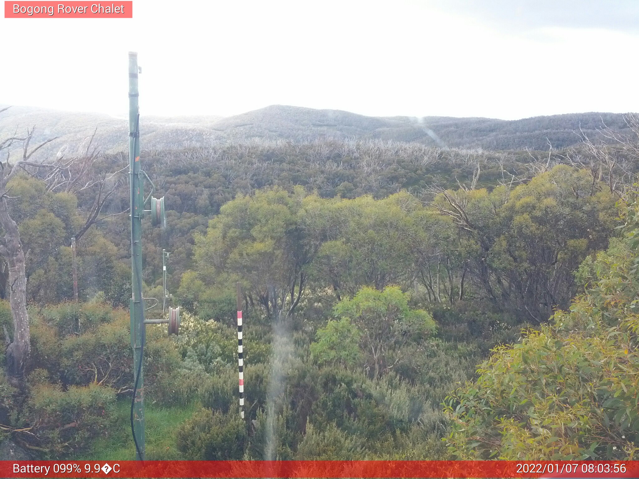 Bogong Web Cam 8:03am Friday 7th of January 2022