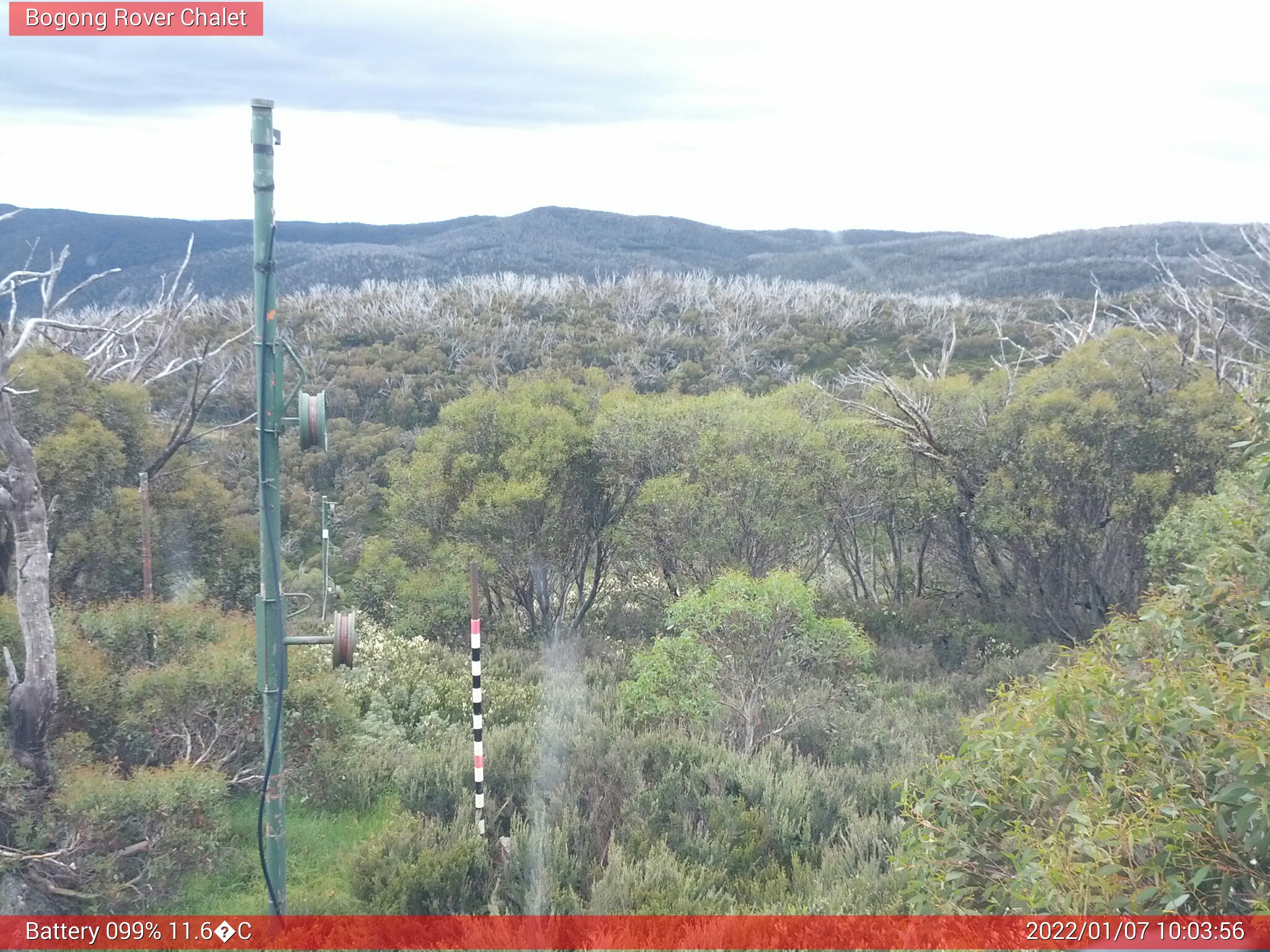 Bogong Web Cam 10:03am Friday 7th of January 2022