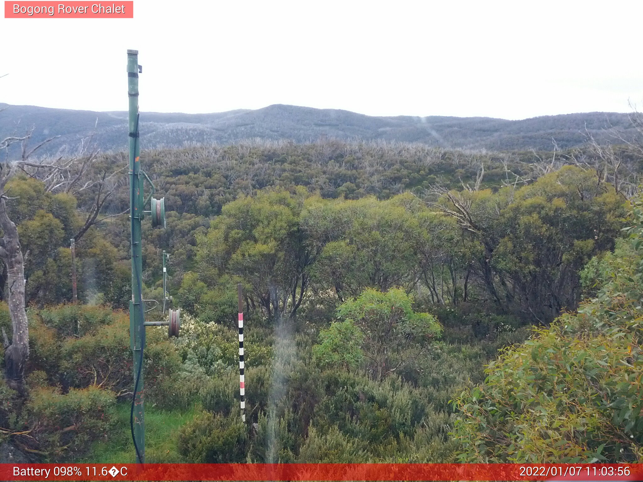 Bogong Web Cam 11:03am Friday 7th of January 2022