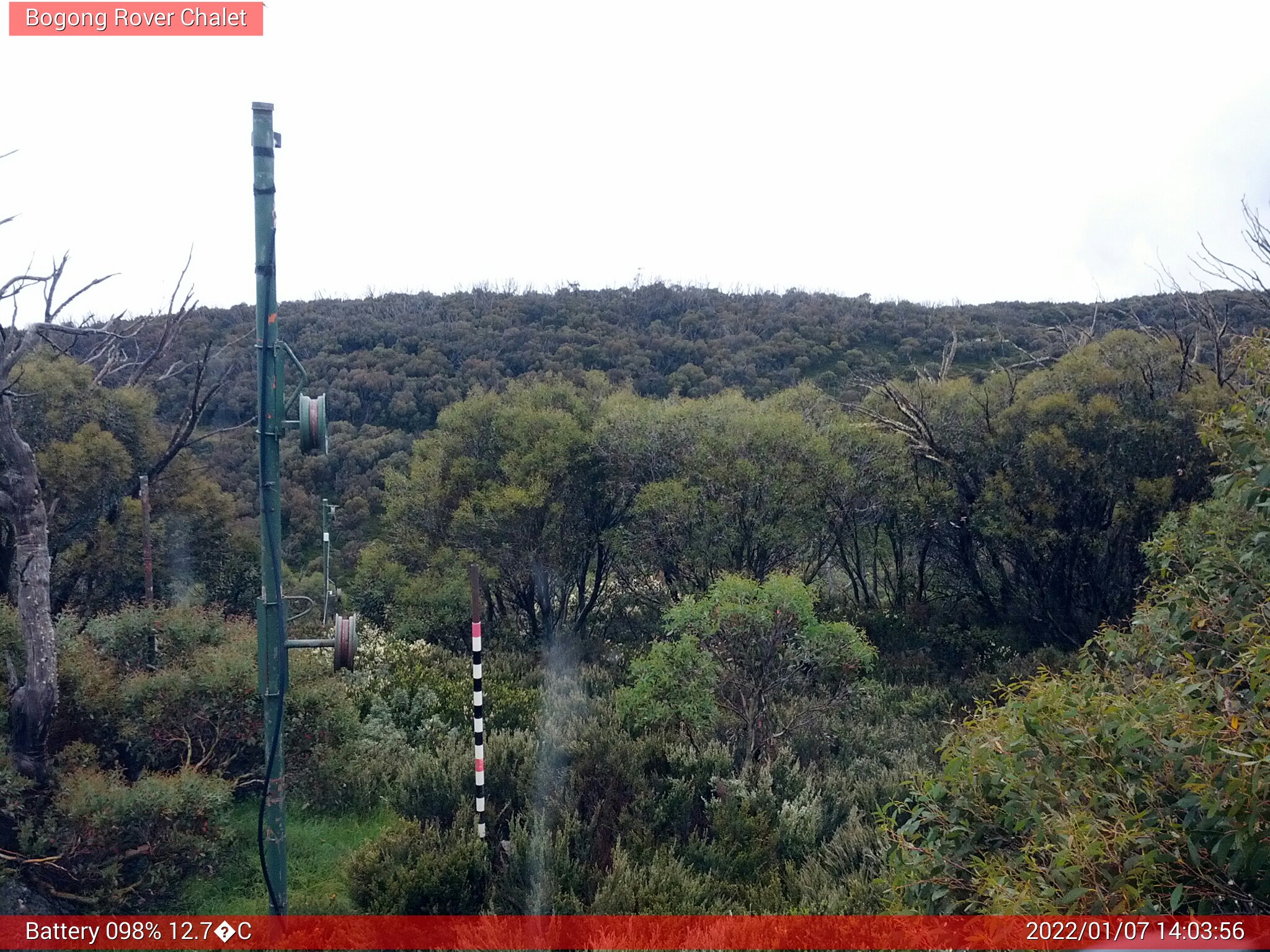 Bogong Web Cam 2:03pm Friday 7th of January 2022