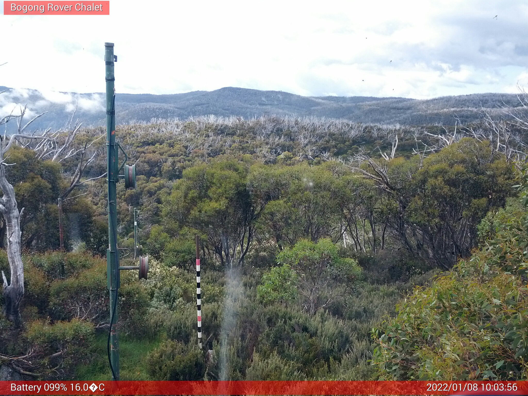 Bogong Web Cam 10:03am Saturday 8th of January 2022