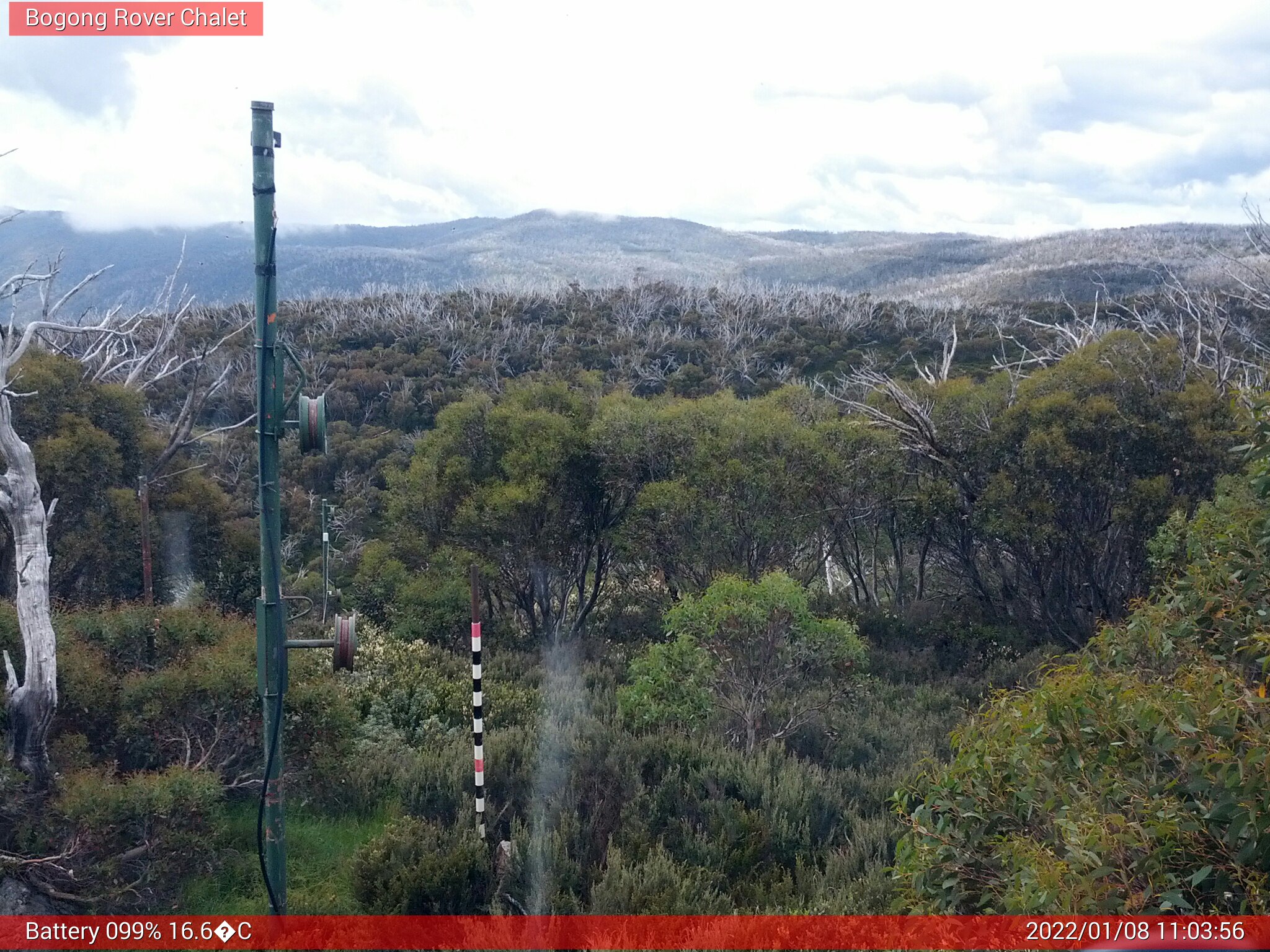 Bogong Web Cam 11:03am Saturday 8th of January 2022