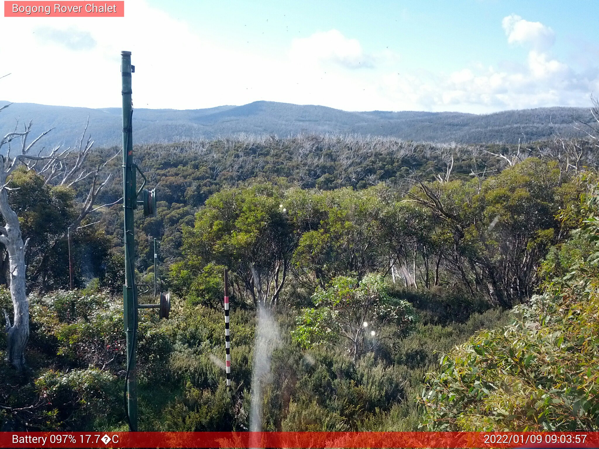 Bogong Web Cam 9:03am Sunday 9th of January 2022