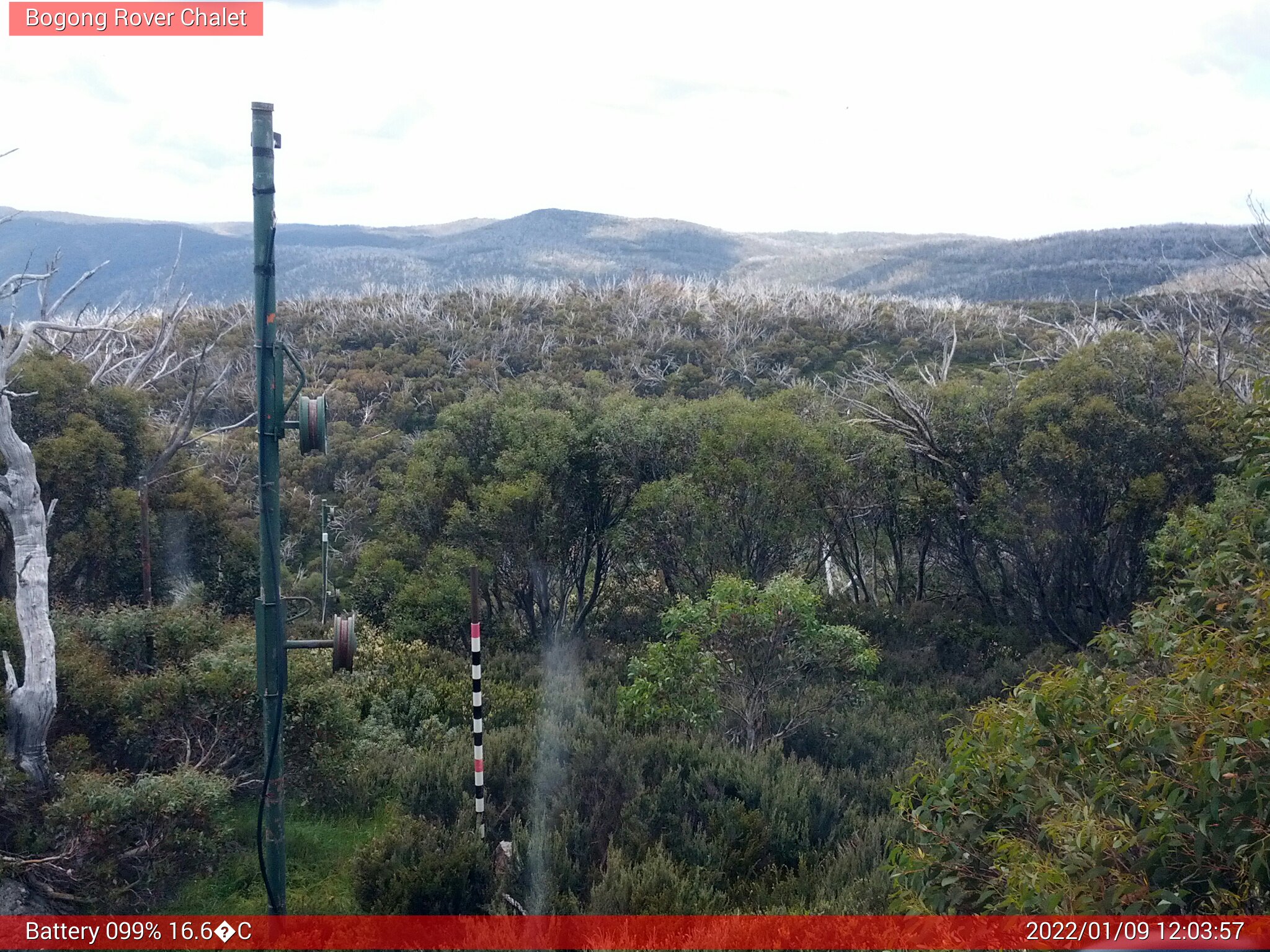 Bogong Web Cam 12:03pm Sunday 9th of January 2022