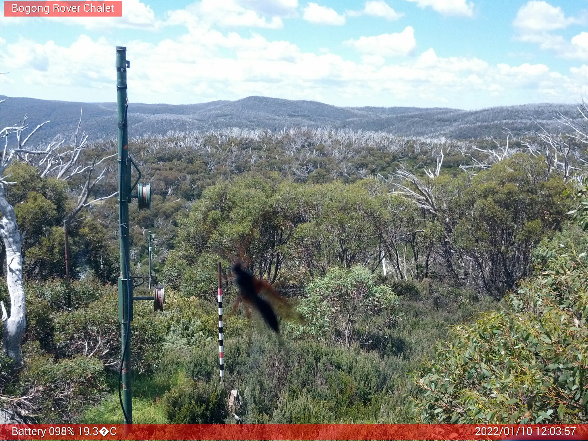 Bogong Web Cam 12:03pm Monday 10th of January 2022