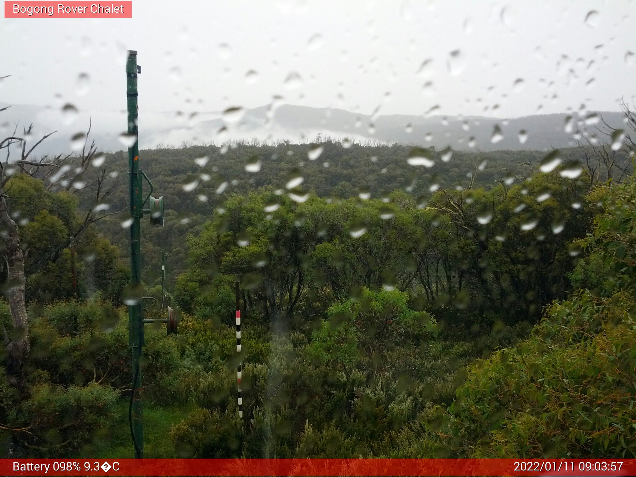 Bogong Web Cam 9:03am Tuesday 11th of January 2022