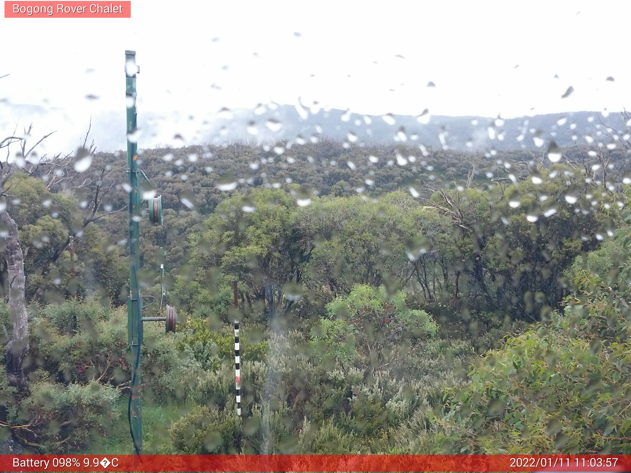 Bogong Web Cam 11:03am Tuesday 11th of January 2022