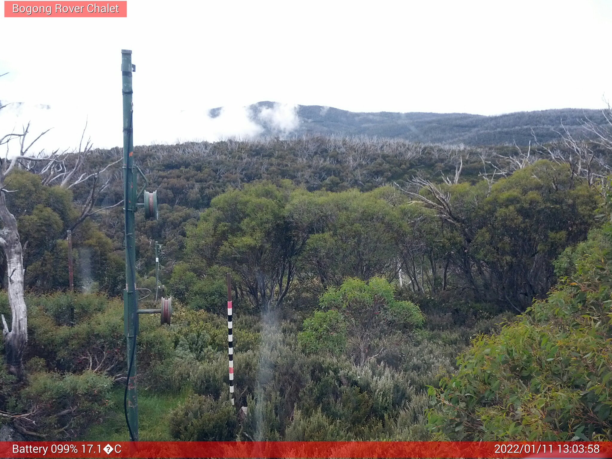 Bogong Web Cam 1:03pm Tuesday 11th of January 2022