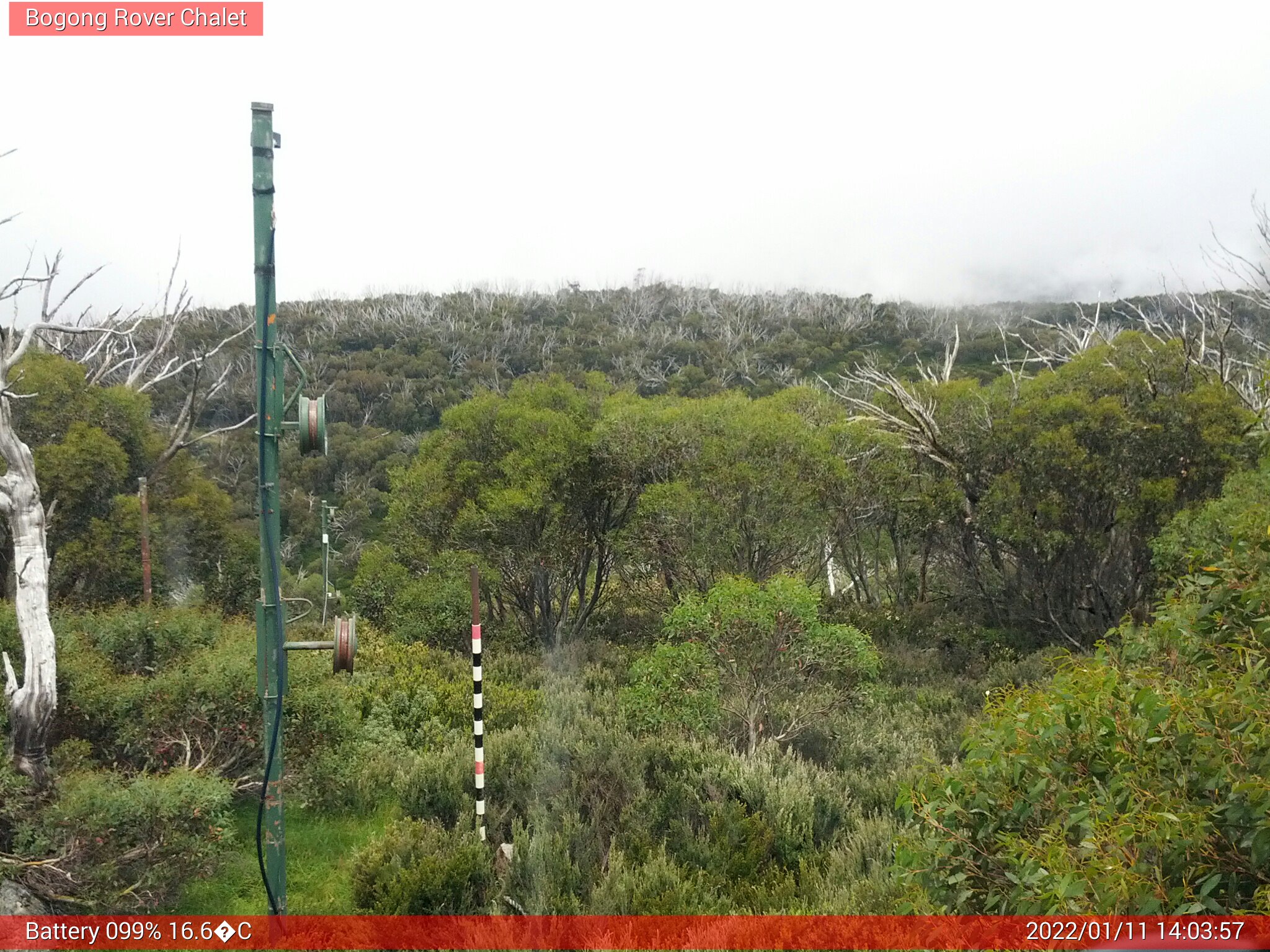 Bogong Web Cam 2:03pm Tuesday 11th of January 2022