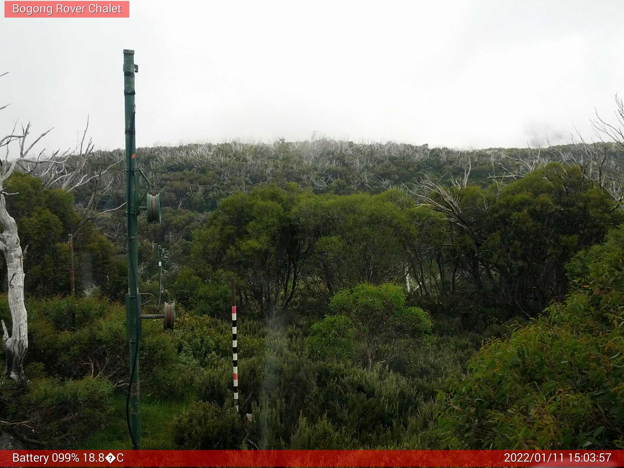 Bogong Web Cam 3:03pm Tuesday 11th of January 2022