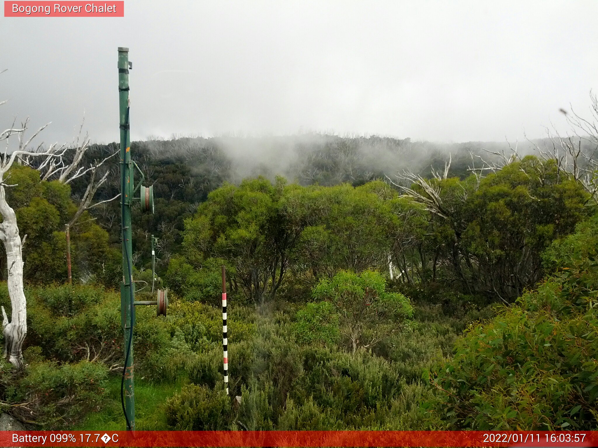 Bogong Web Cam 4:03pm Tuesday 11th of January 2022