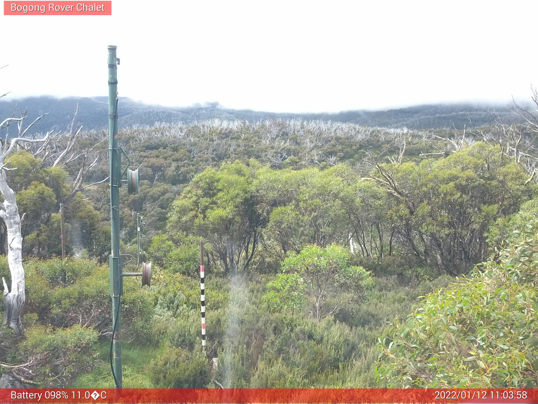 Bogong Web Cam 11:03am Wednesday 12th of January 2022