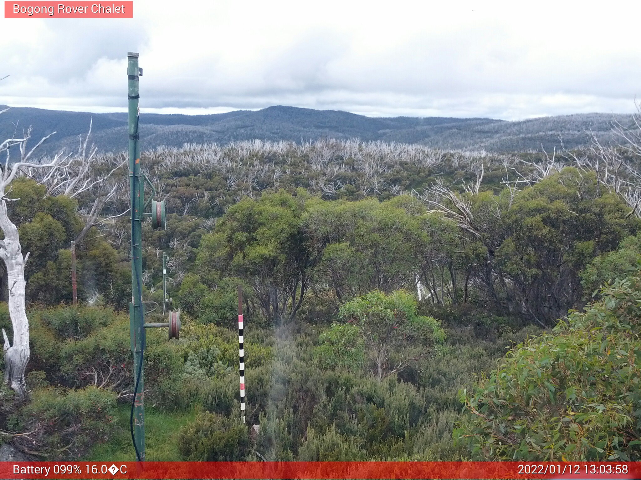 Bogong Web Cam 1:03pm Wednesday 12th of January 2022