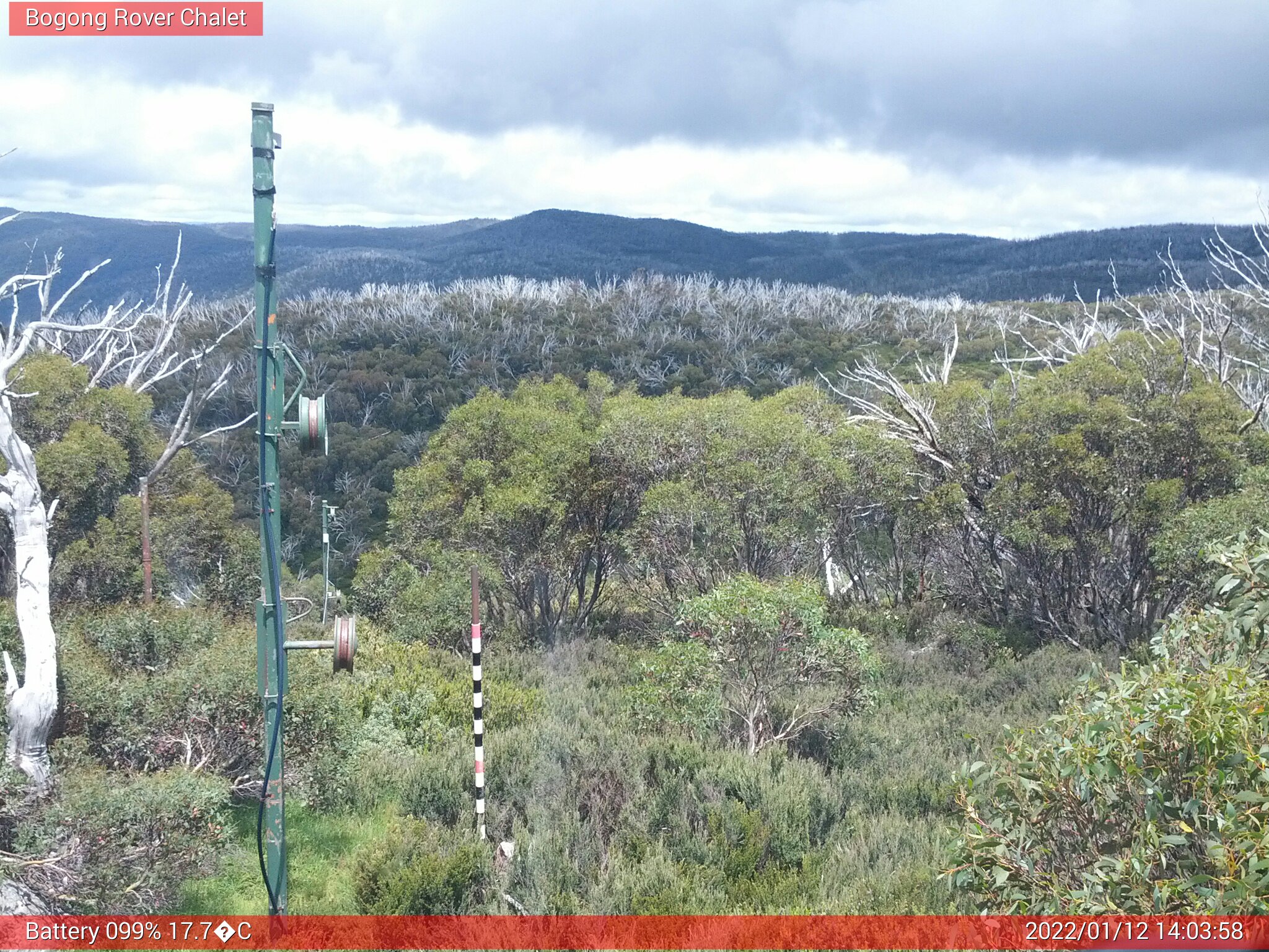 Bogong Web Cam 2:03pm Wednesday 12th of January 2022