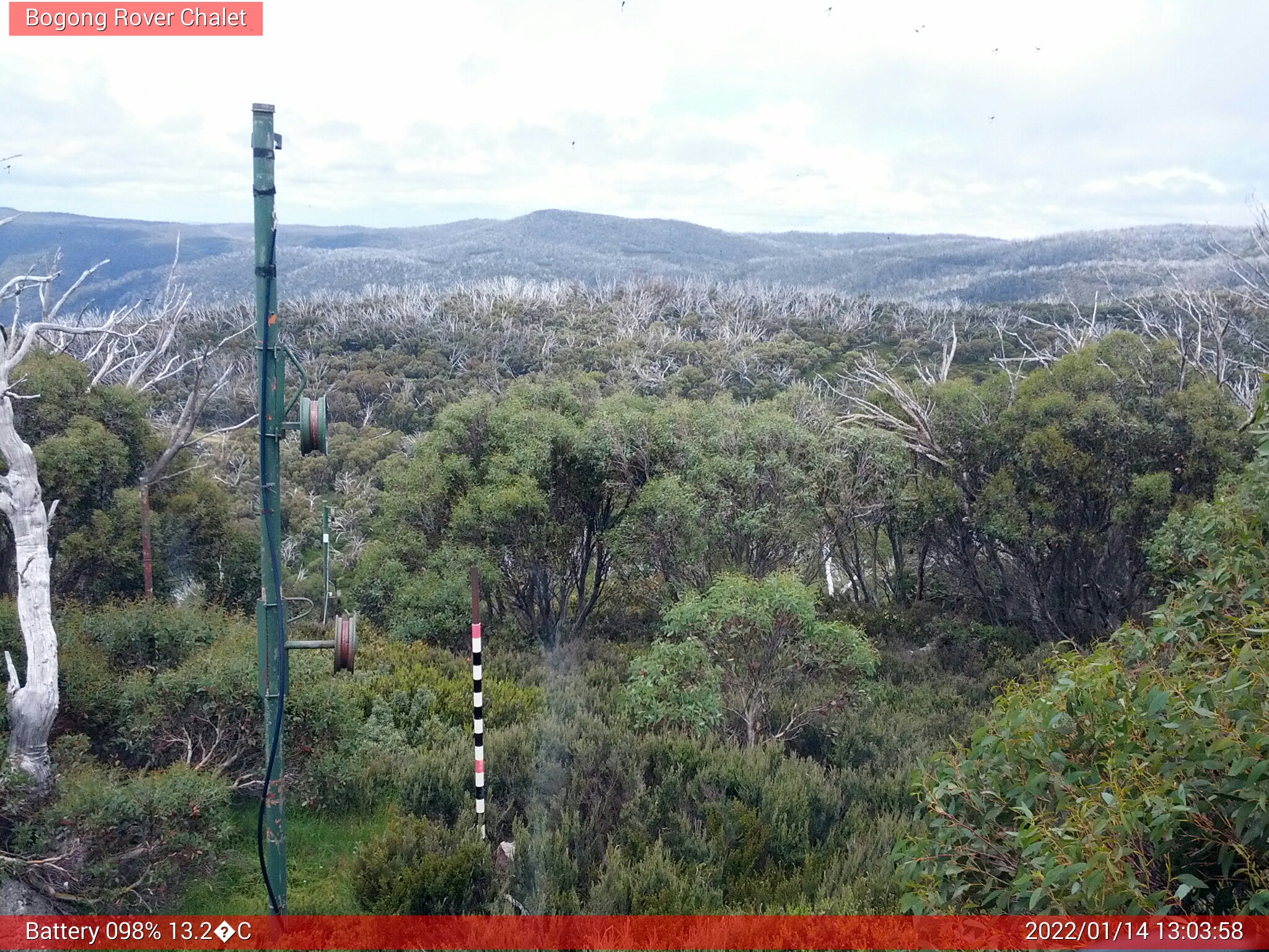 Bogong Web Cam 1:03pm Friday 14th of January 2022