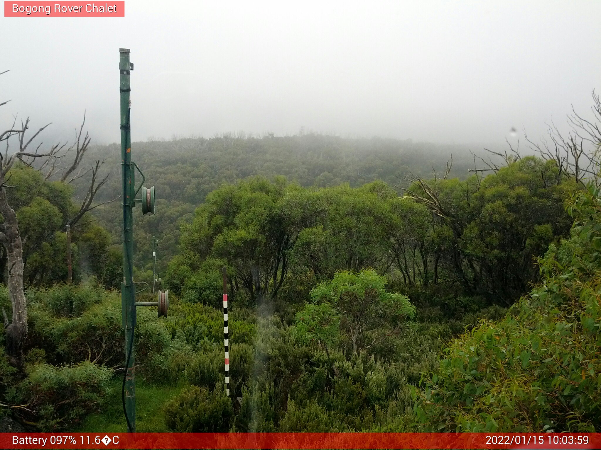 Bogong Web Cam 10:03am Saturday 15th of January 2022