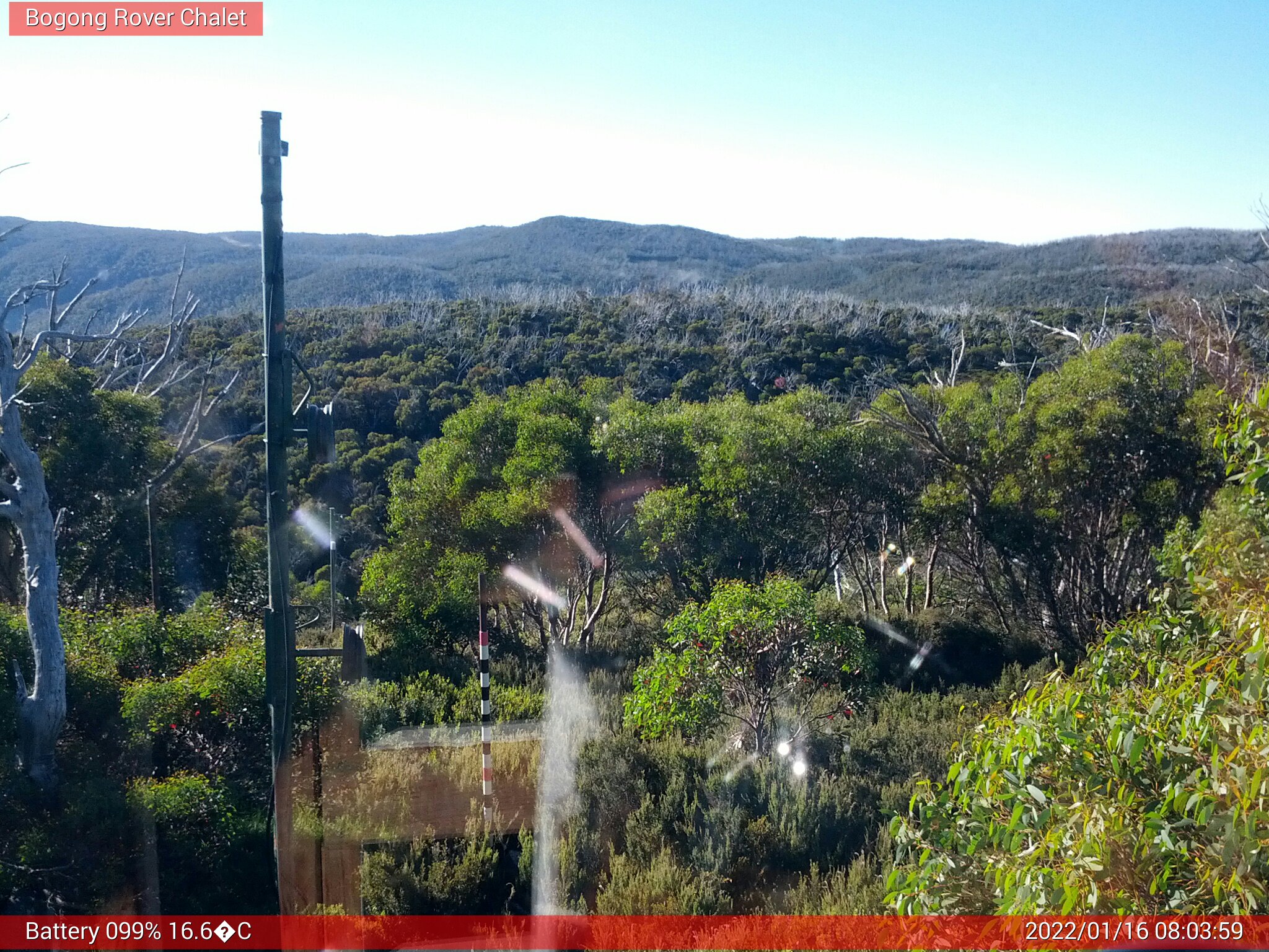 Bogong Web Cam 8:03am Sunday 16th of January 2022