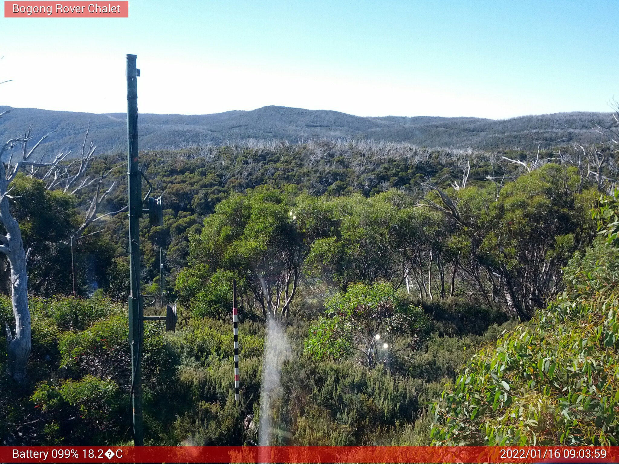 Bogong Web Cam 9:03am Sunday 16th of January 2022