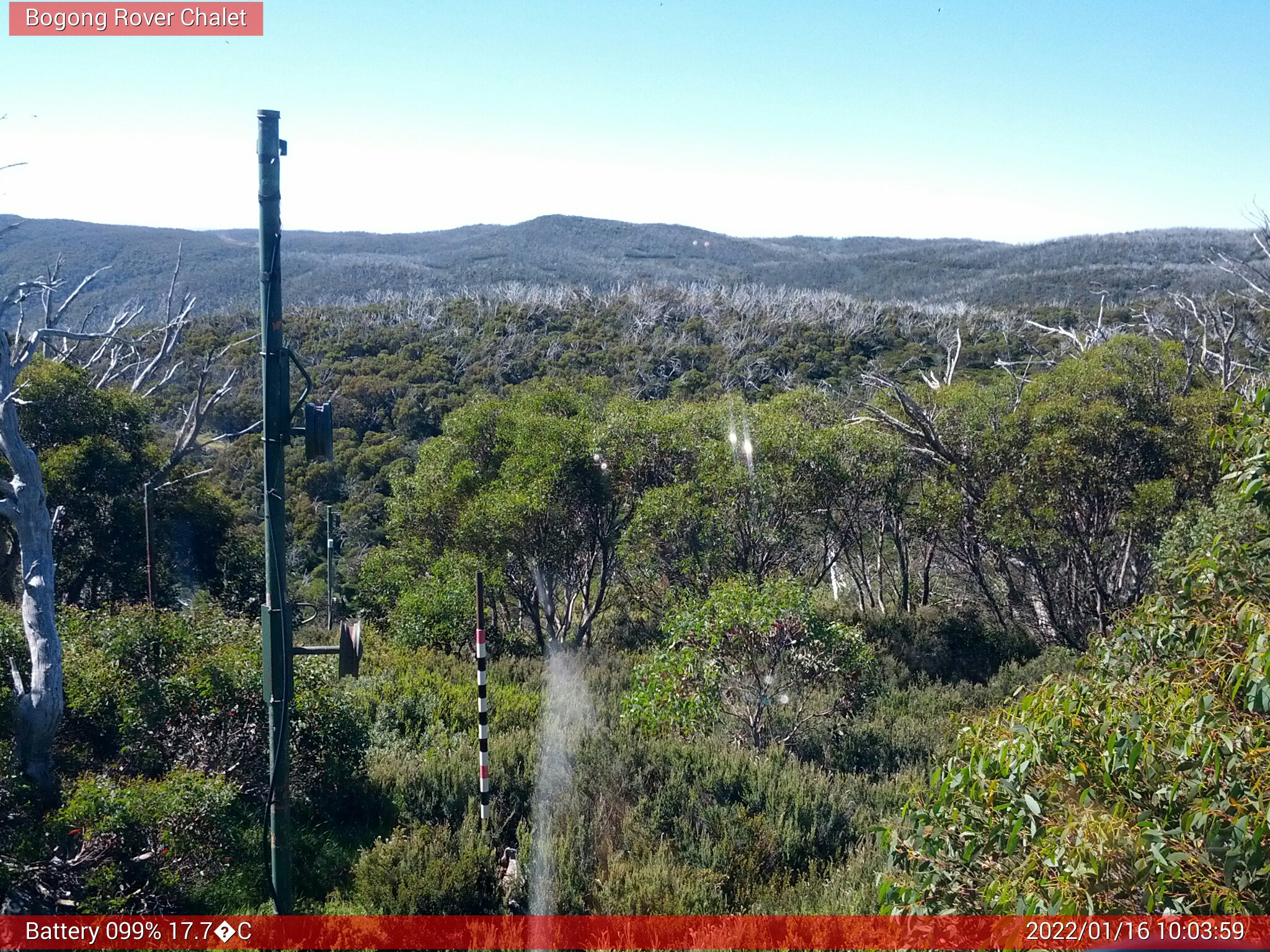 Bogong Web Cam 10:03am Sunday 16th of January 2022