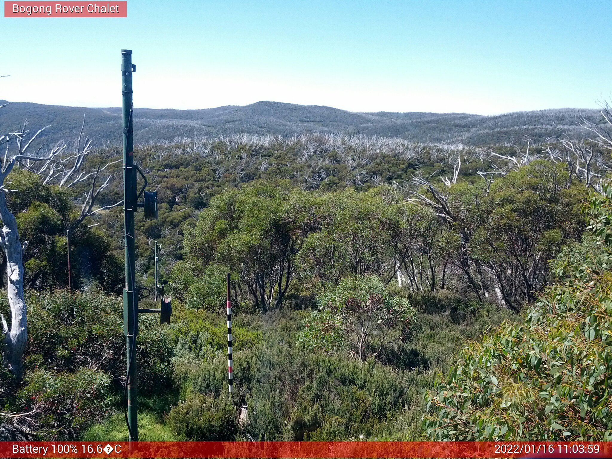 Bogong Web Cam 11:03am Sunday 16th of January 2022