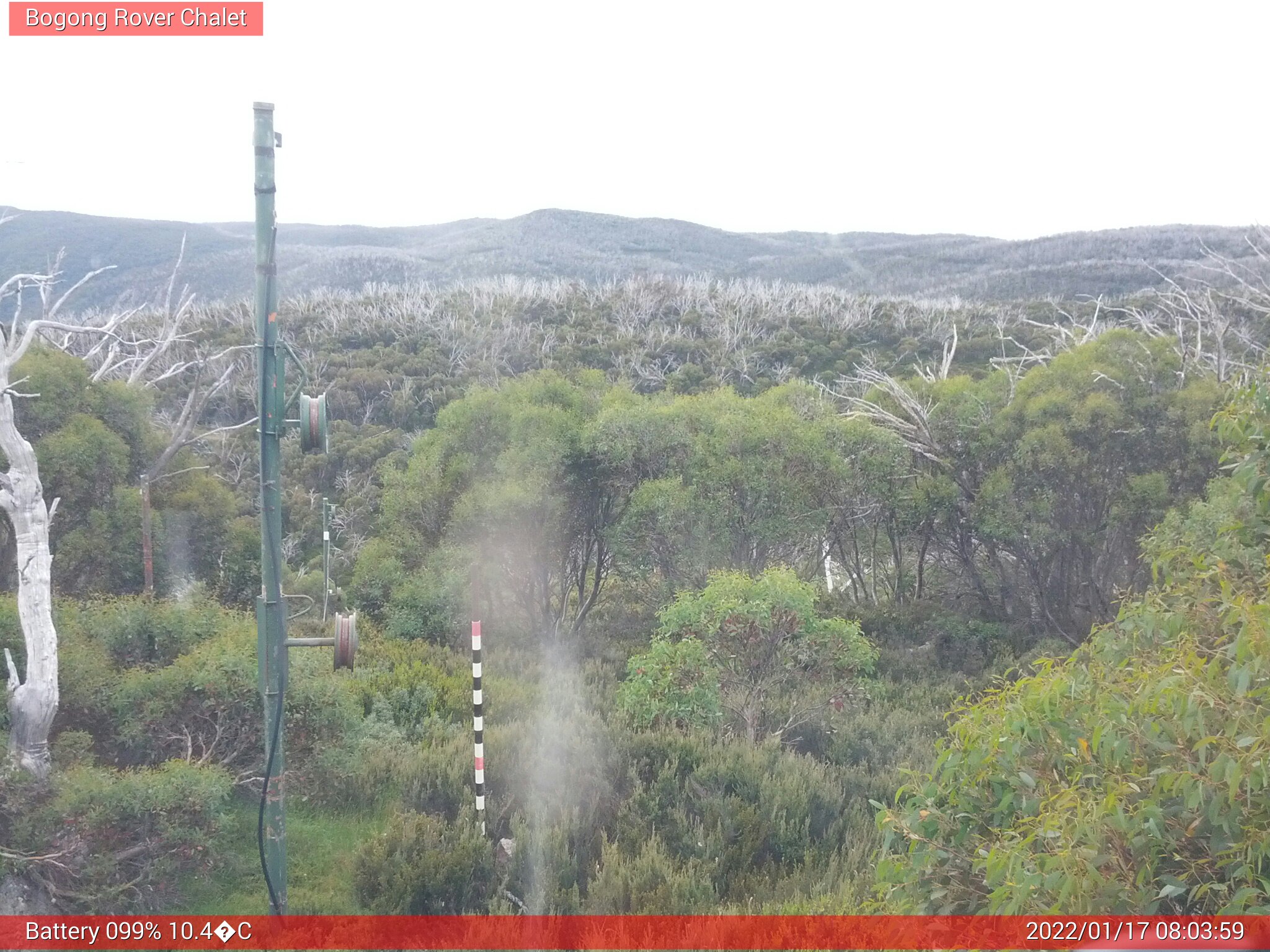 Bogong Web Cam 8:03am Monday 17th of January 2022