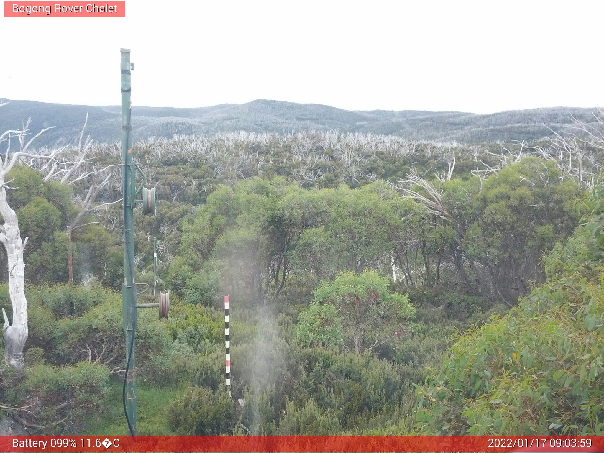 Bogong Web Cam 9:03am Monday 17th of January 2022