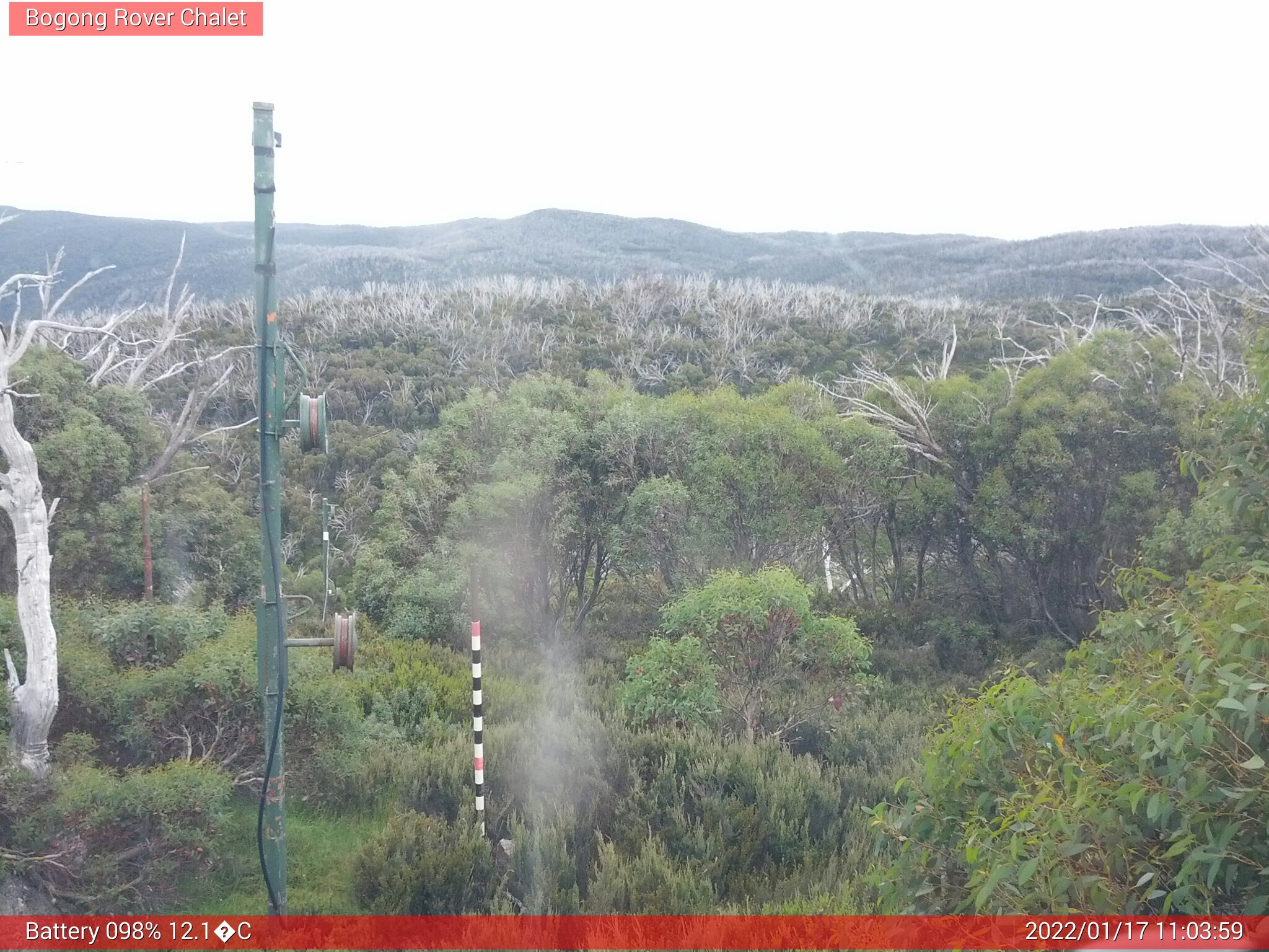 Bogong Web Cam 11:03am Monday 17th of January 2022