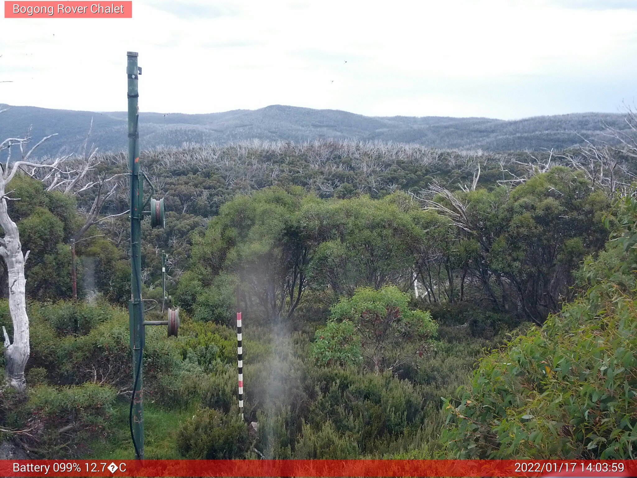 Bogong Web Cam 2:03pm Monday 17th of January 2022