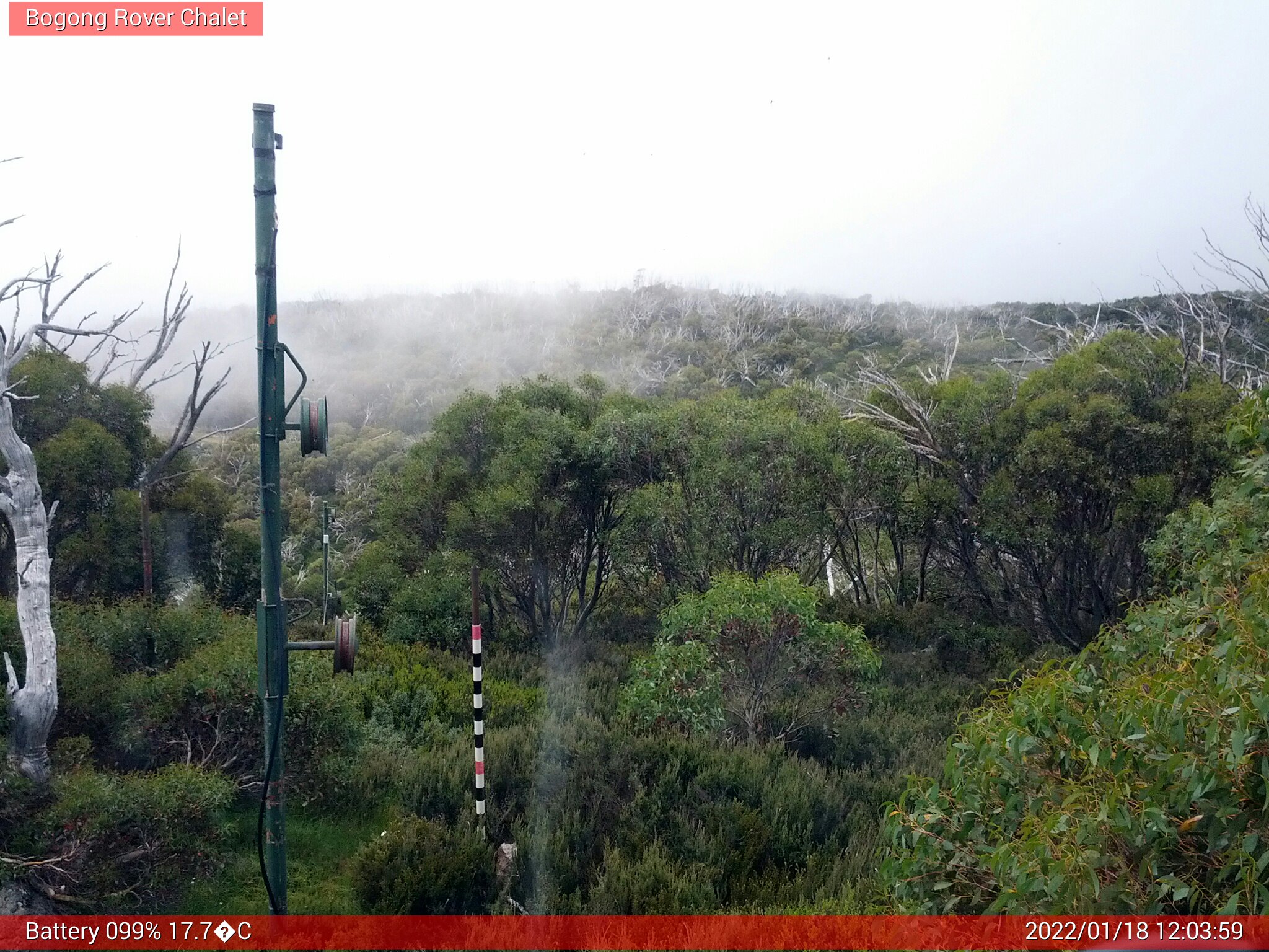 Bogong Web Cam 12:03pm Tuesday 18th of January 2022