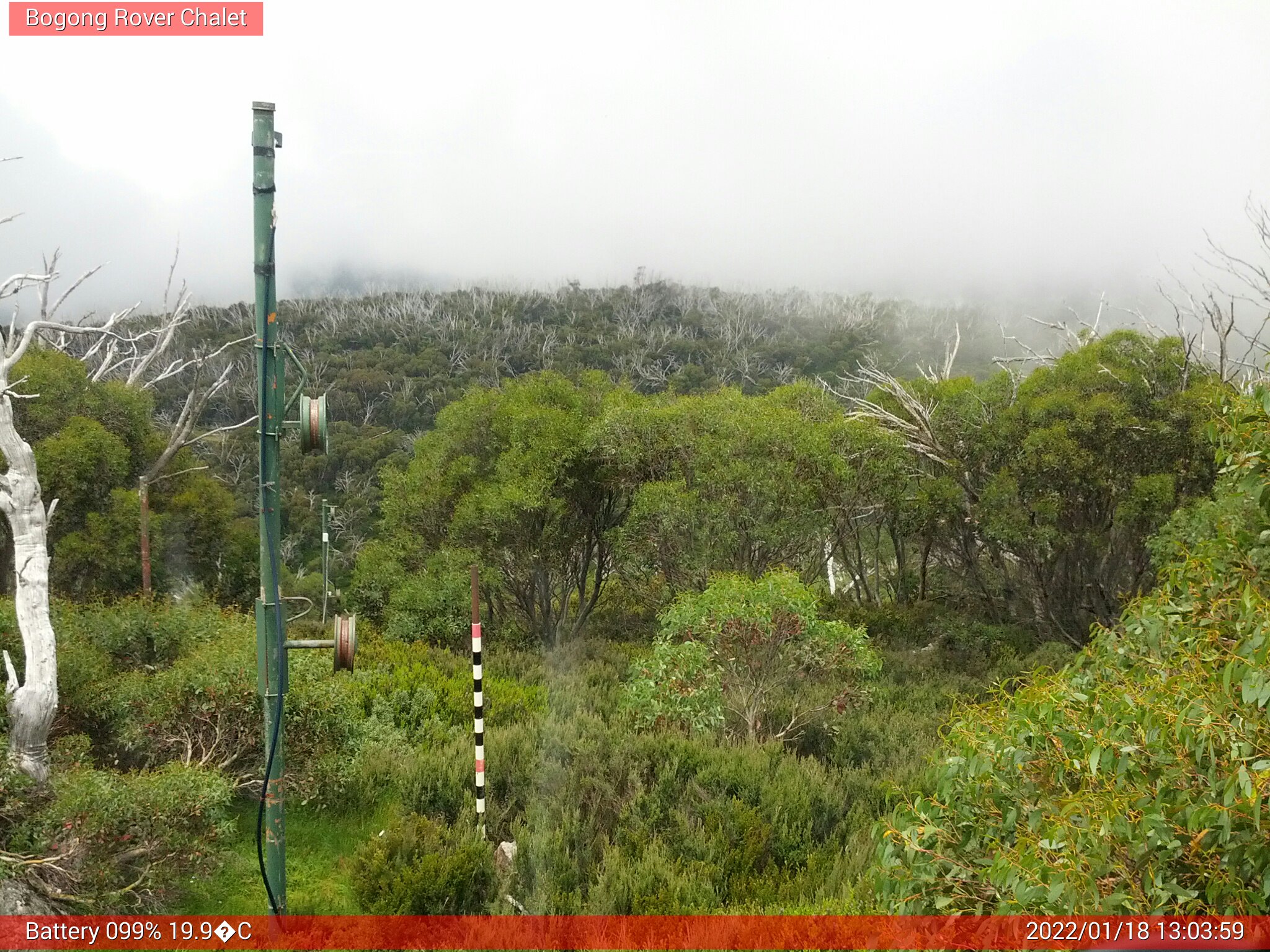 Bogong Web Cam 1:03pm Tuesday 18th of January 2022