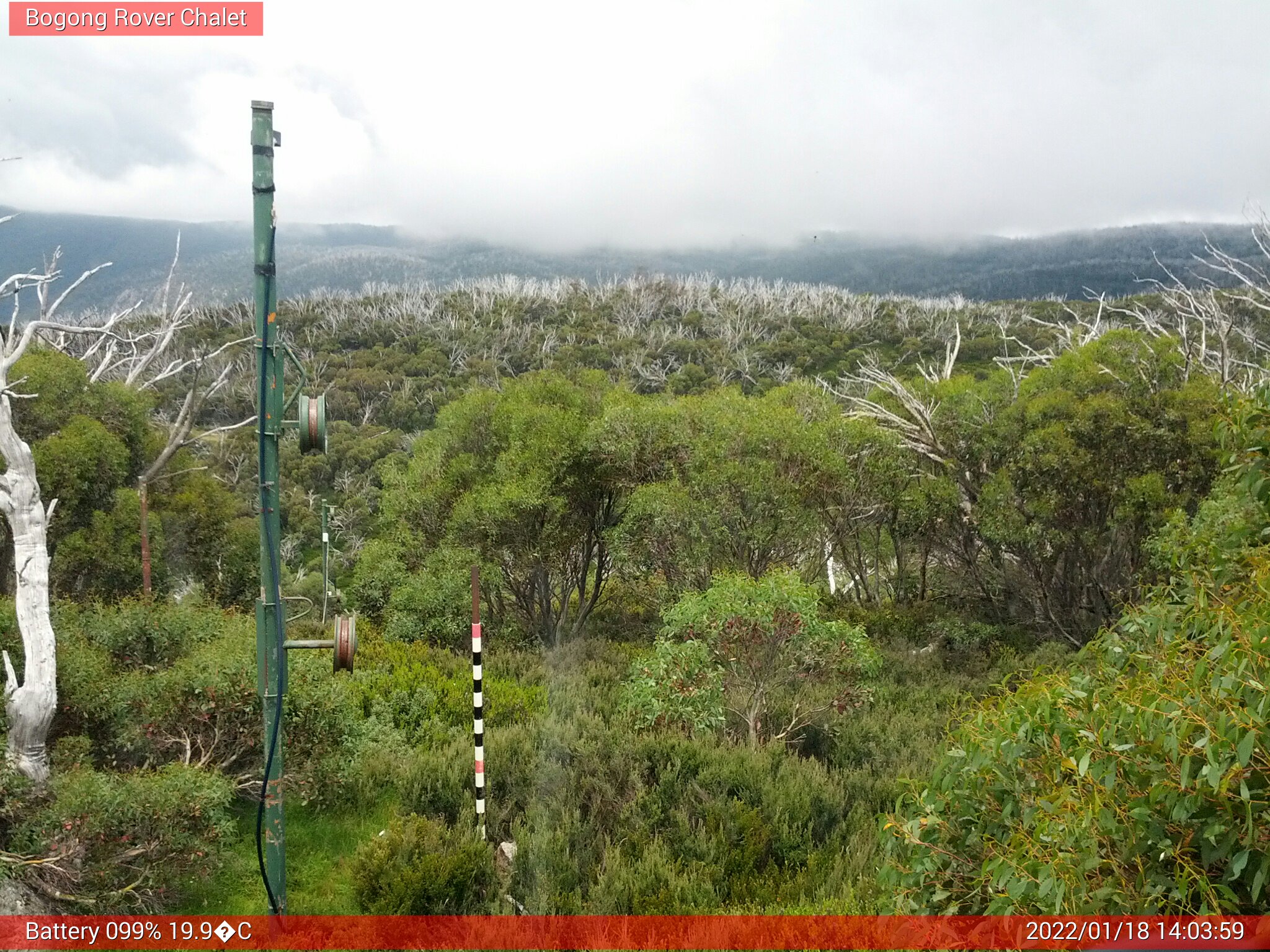 Bogong Web Cam 2:03pm Tuesday 18th of January 2022