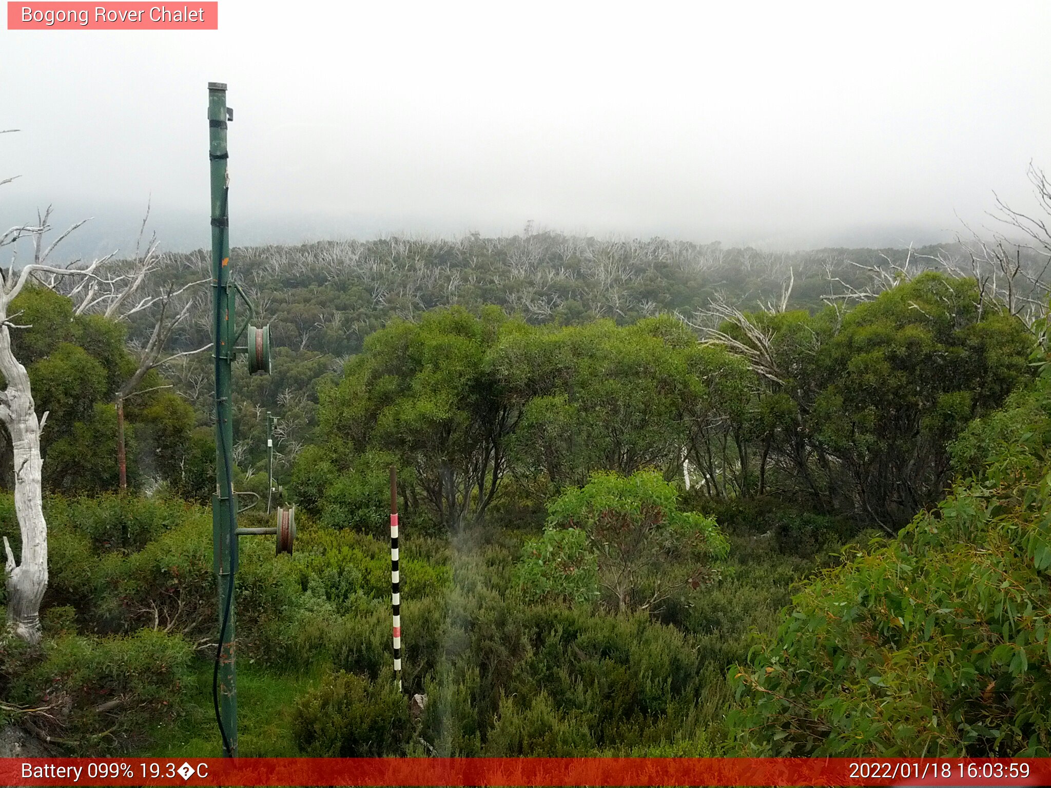 Bogong Web Cam 4:03pm Tuesday 18th of January 2022