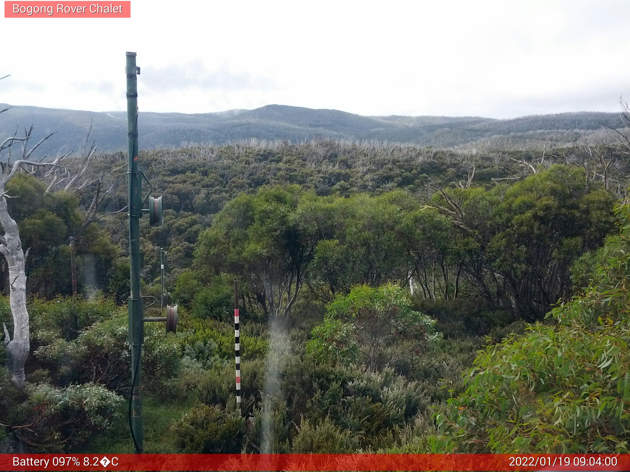 Bogong Web Cam 9:03am Wednesday 19th of January 2022